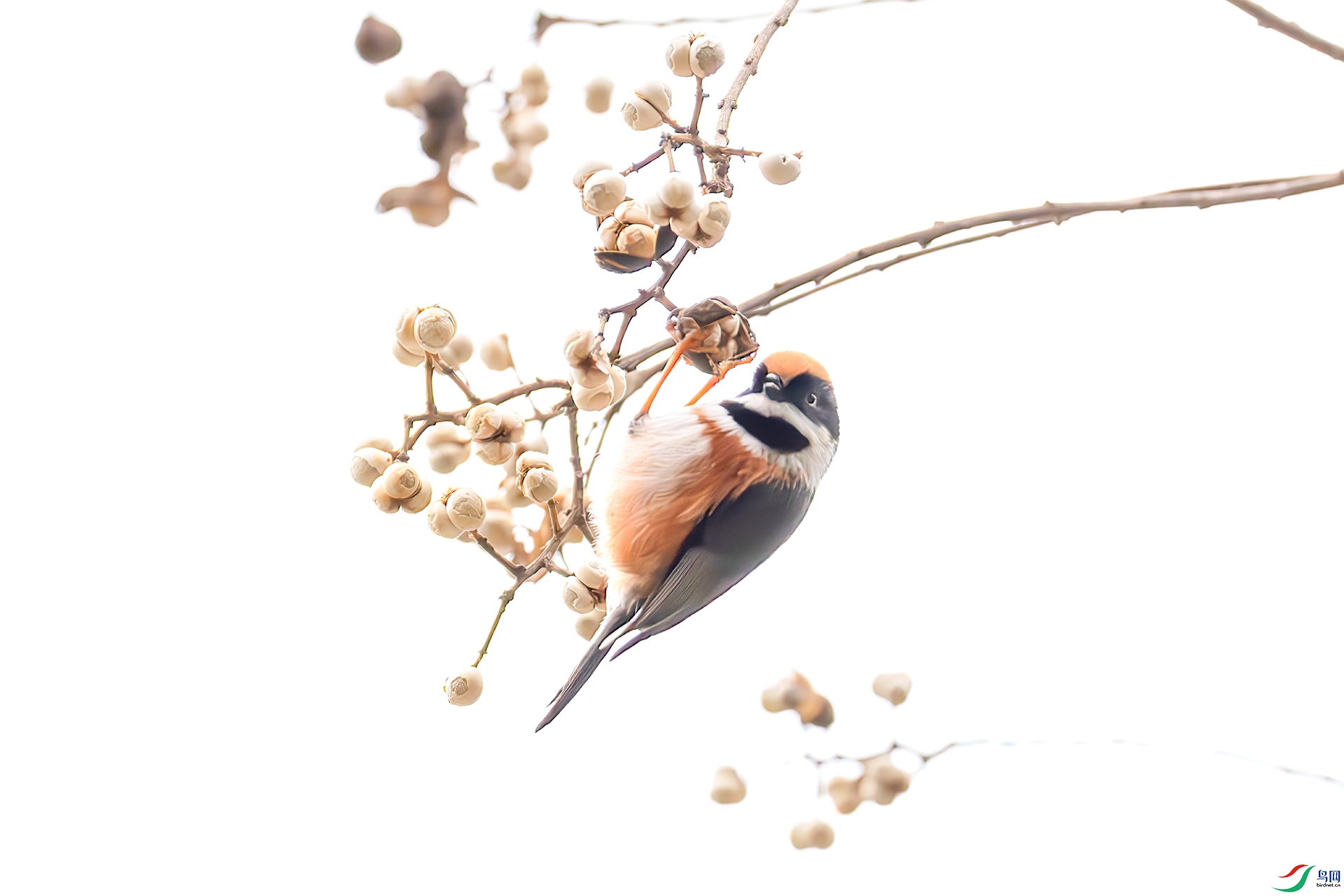 407A6863------33  .jpg