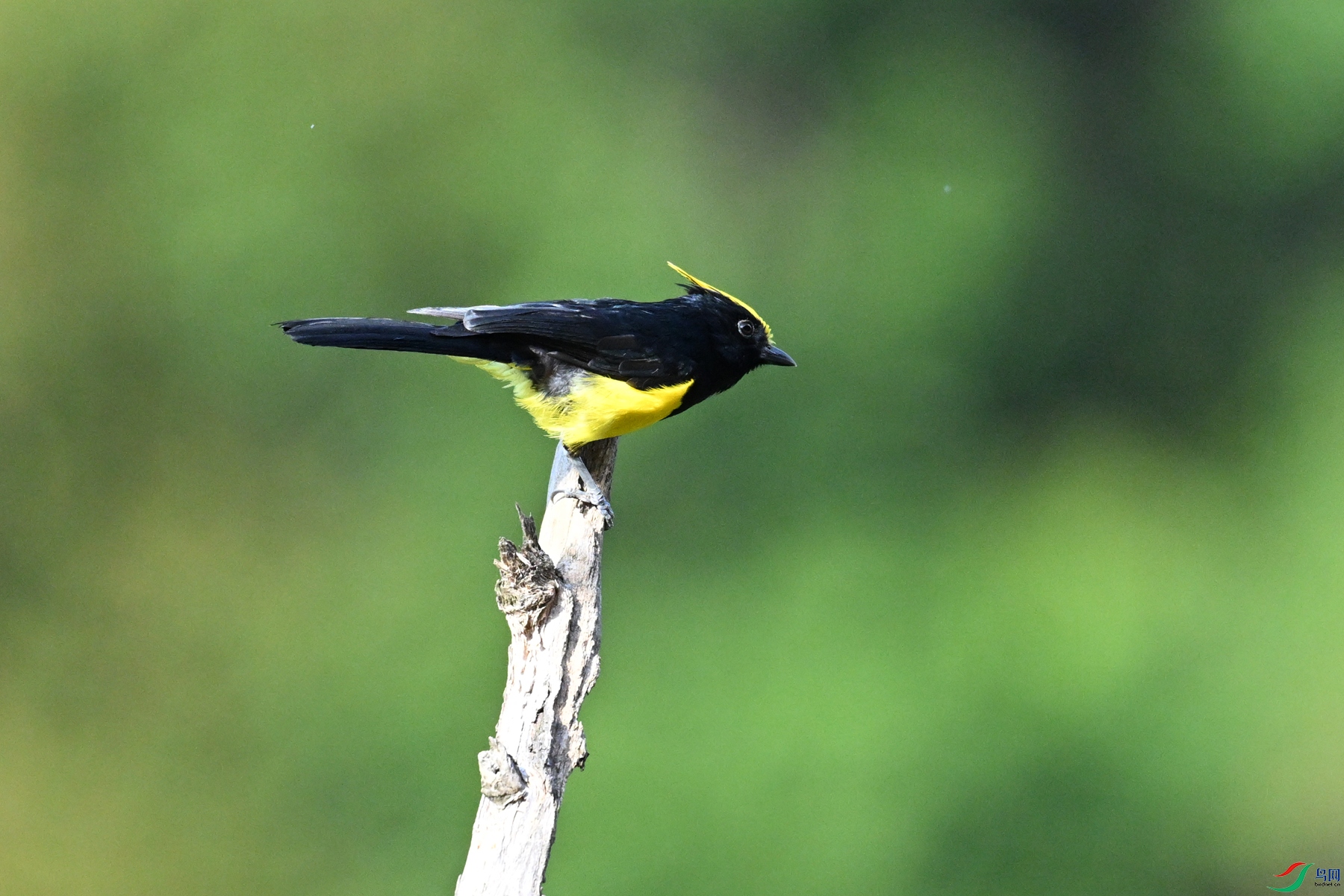 DSC_2216.JPG