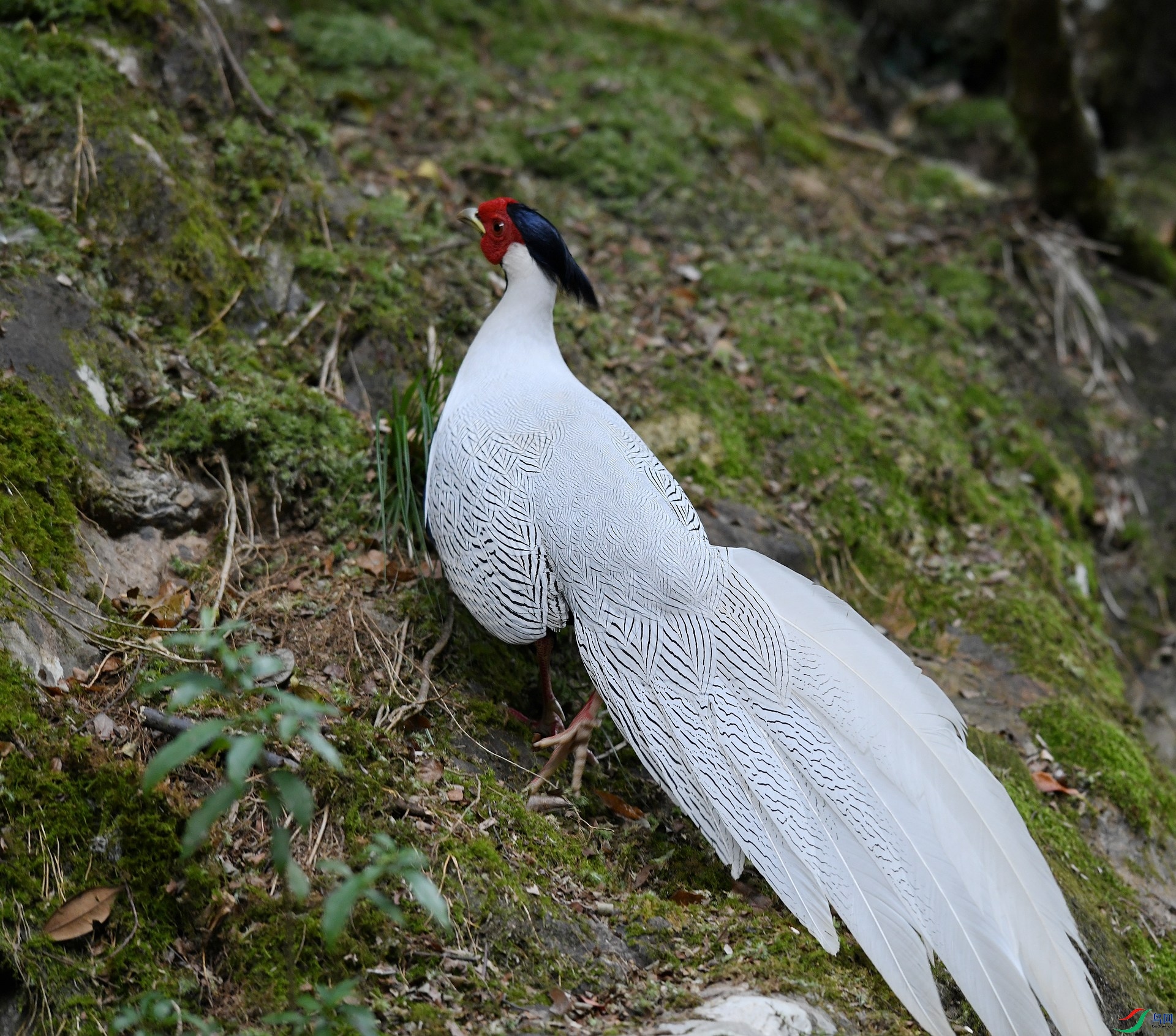 DSC_5699.jpg