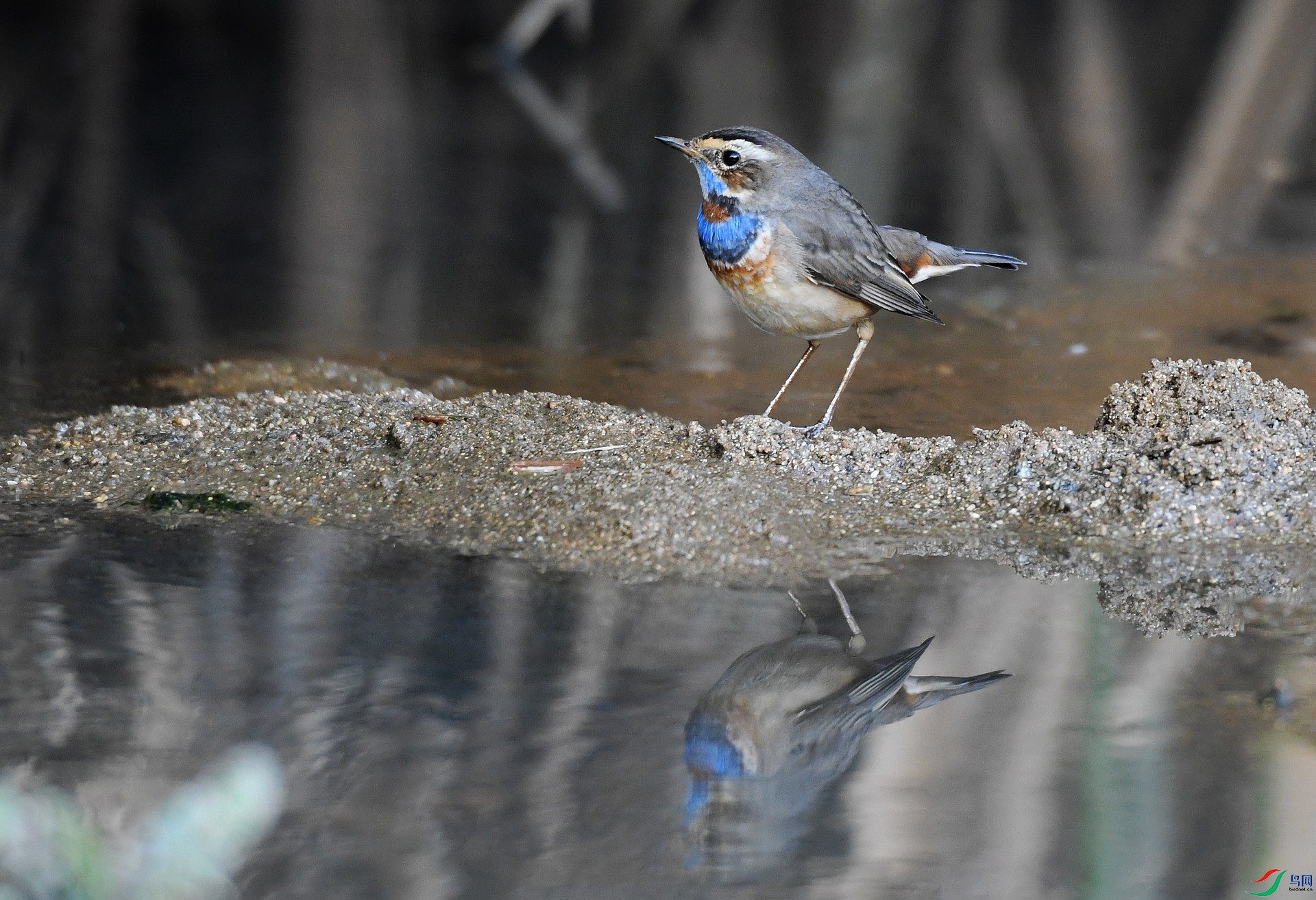 DSC_5714.jpg