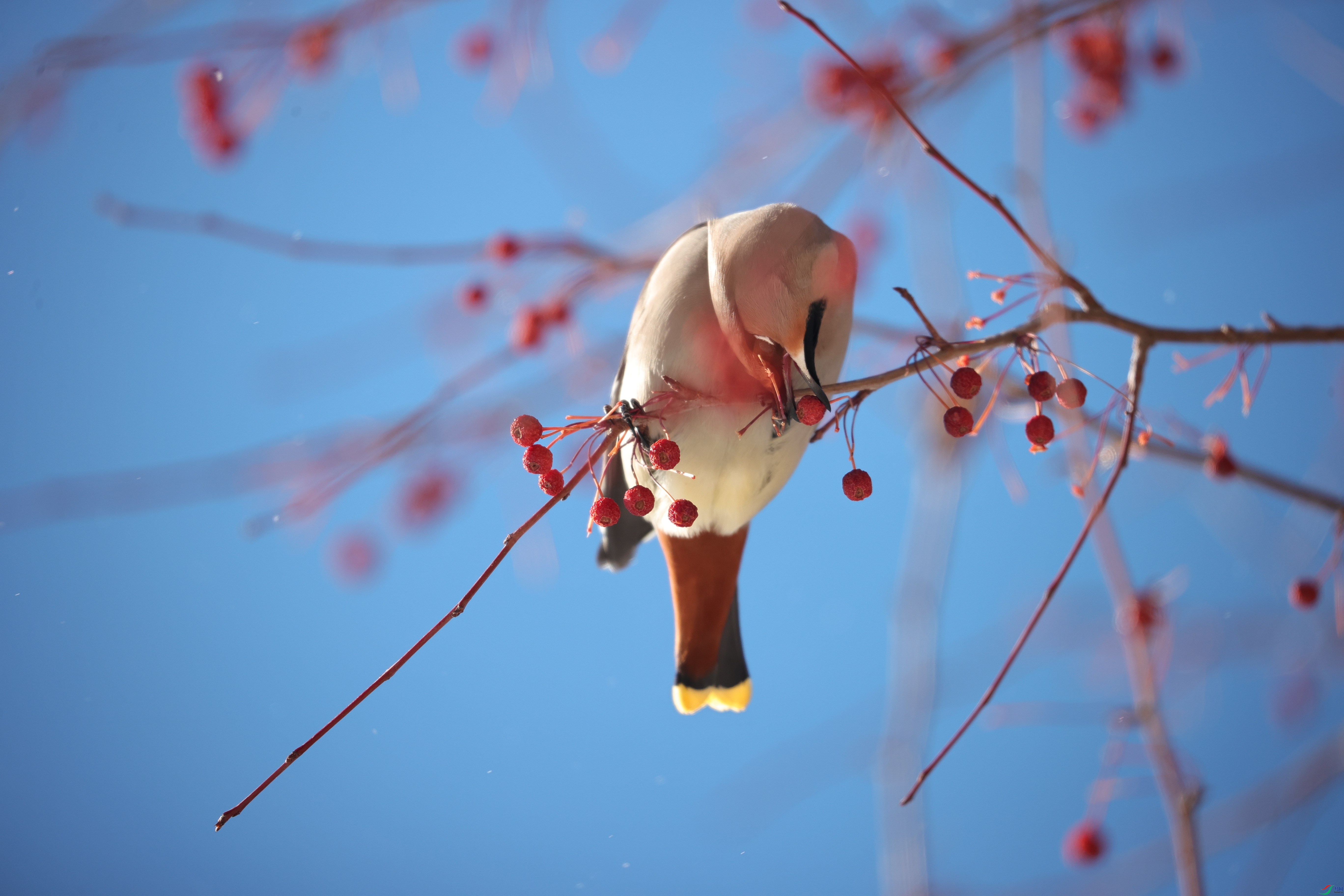 ̫ƽ��06