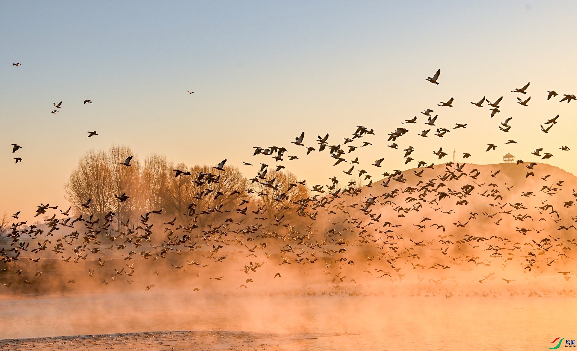 ����Ѽ��