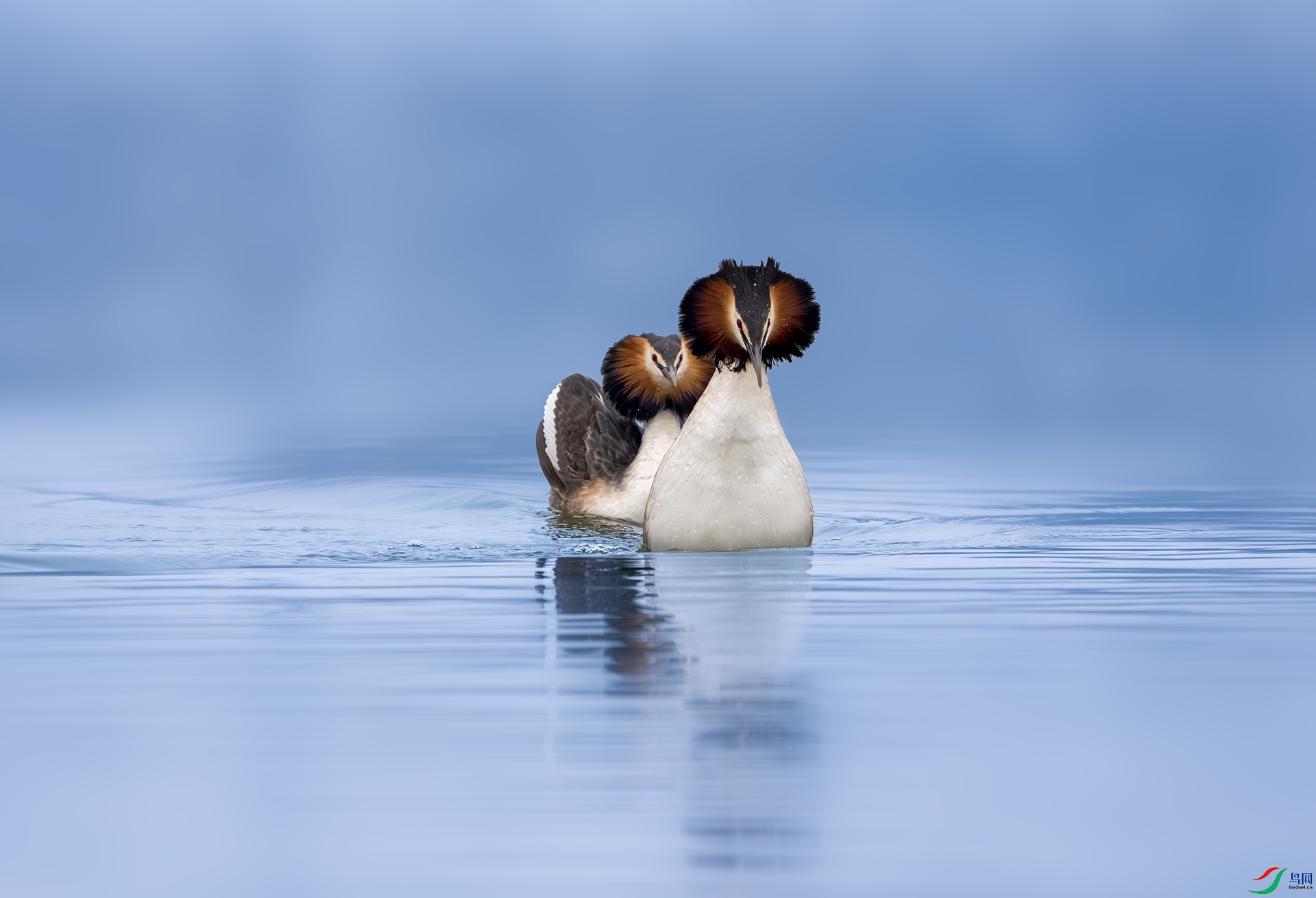 DSC06497-����ǿ-NR ����.jpg