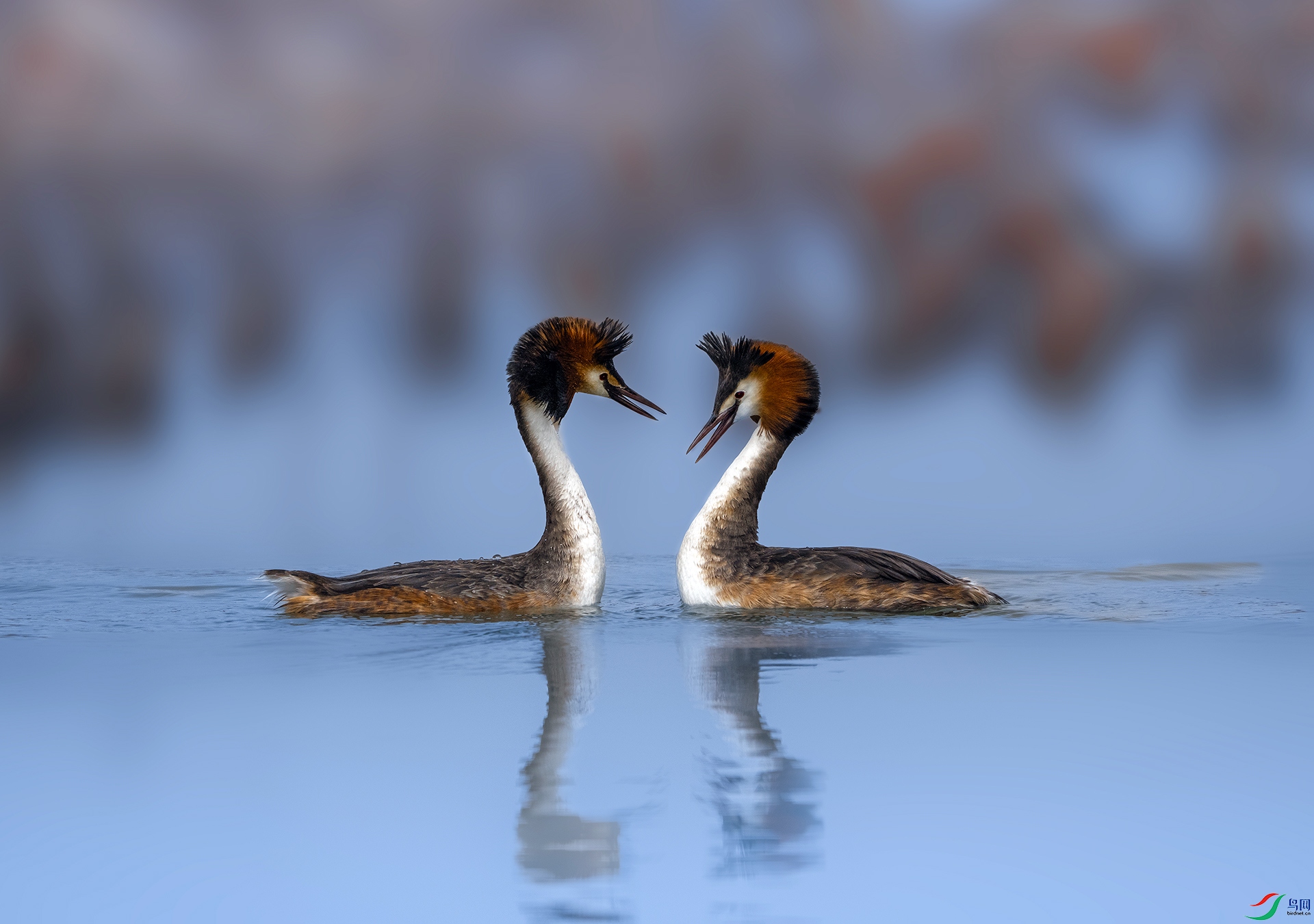 DSC07850 ����.jpg