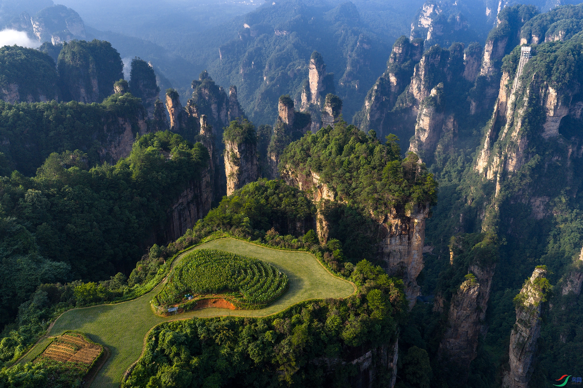 DJI_20250624074908_0238_D ����.jpg