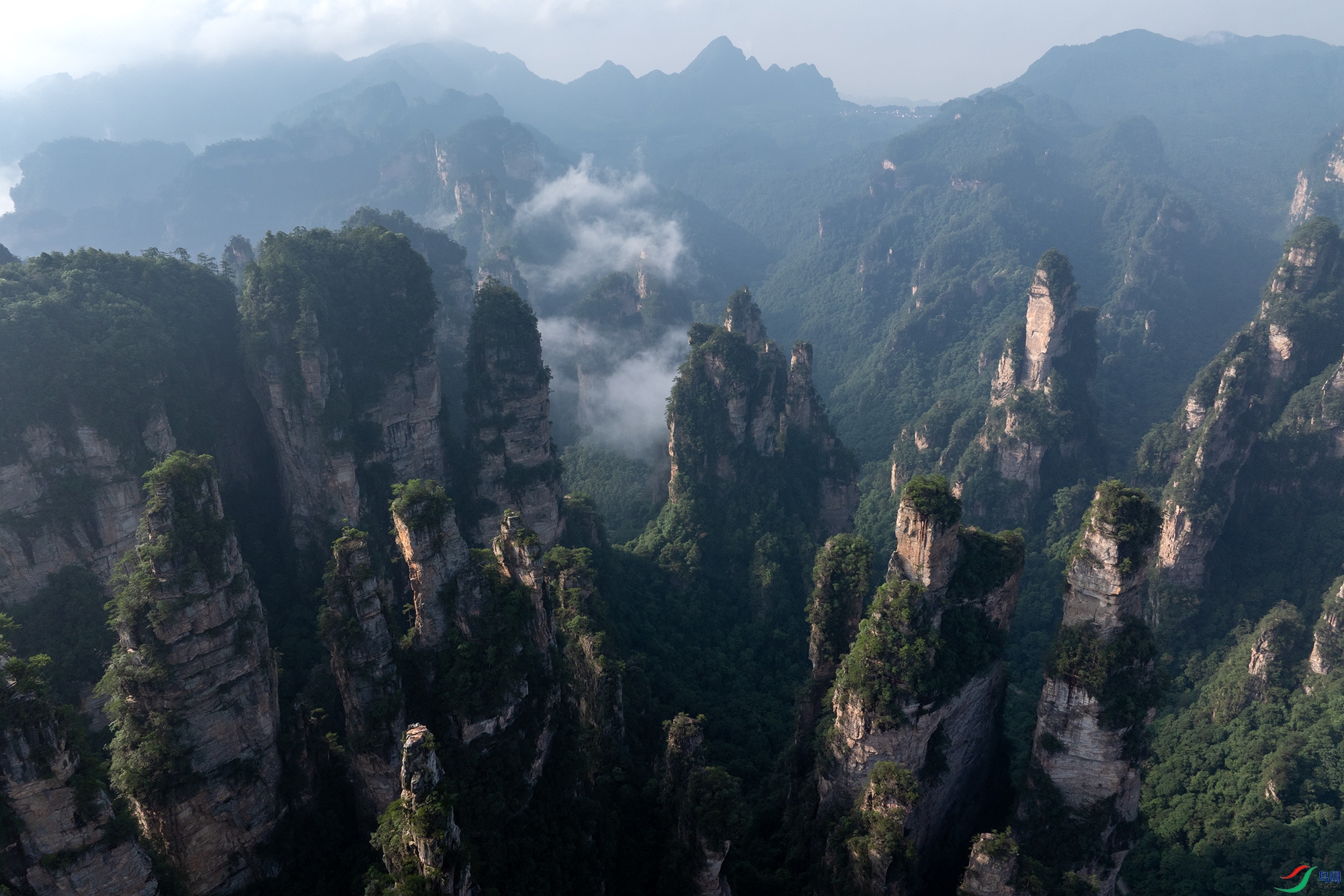 DJI_20250624081109_0421_D ����.jpg
