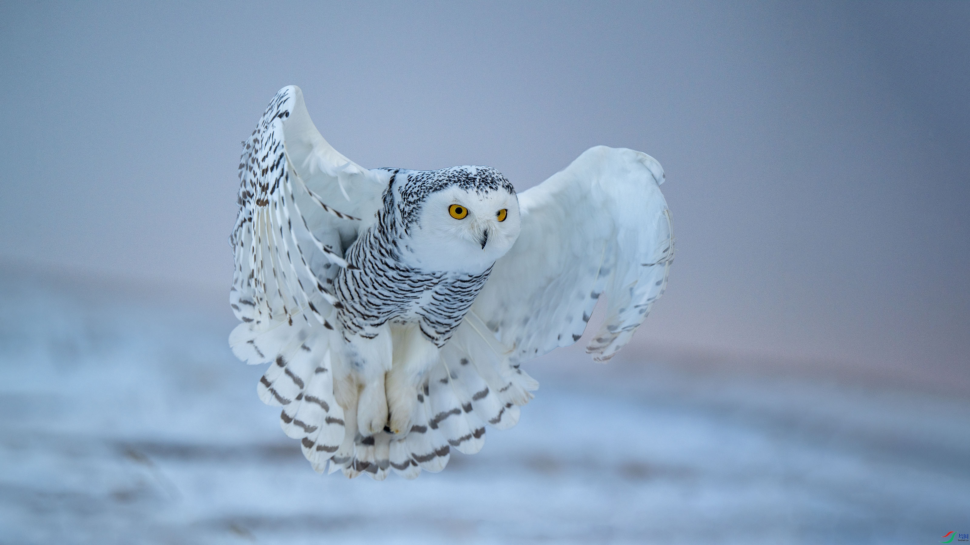 ӭ�������^ ����.jpg