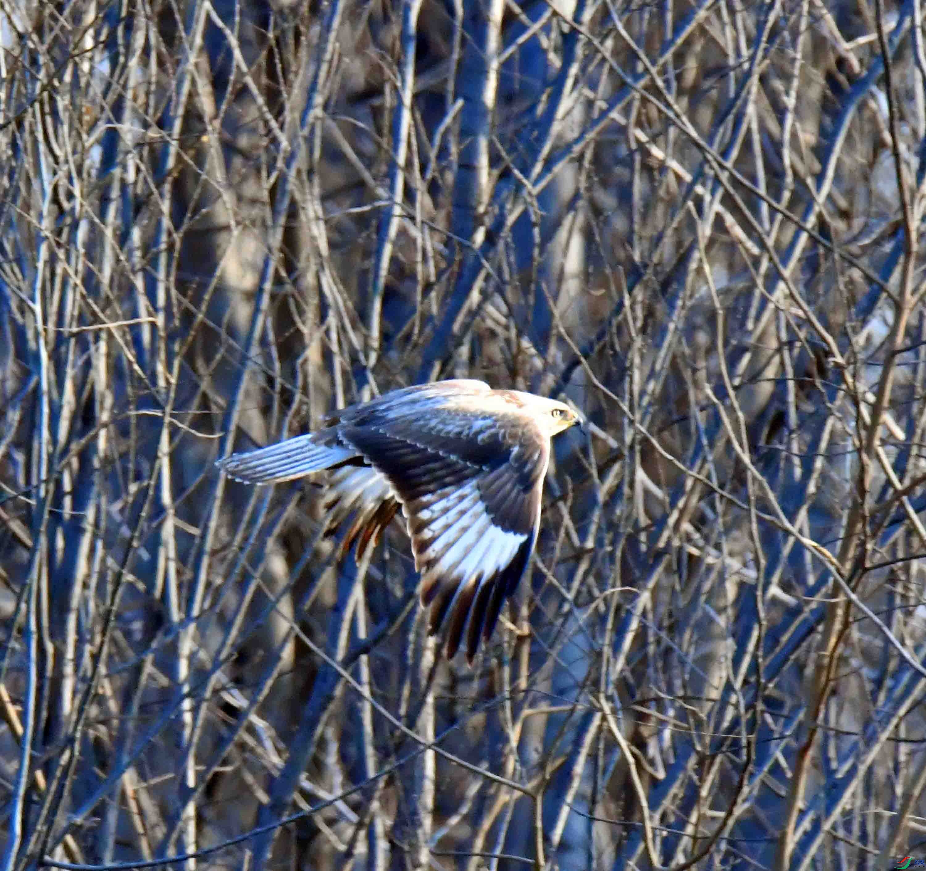 DSC_8135.JPG