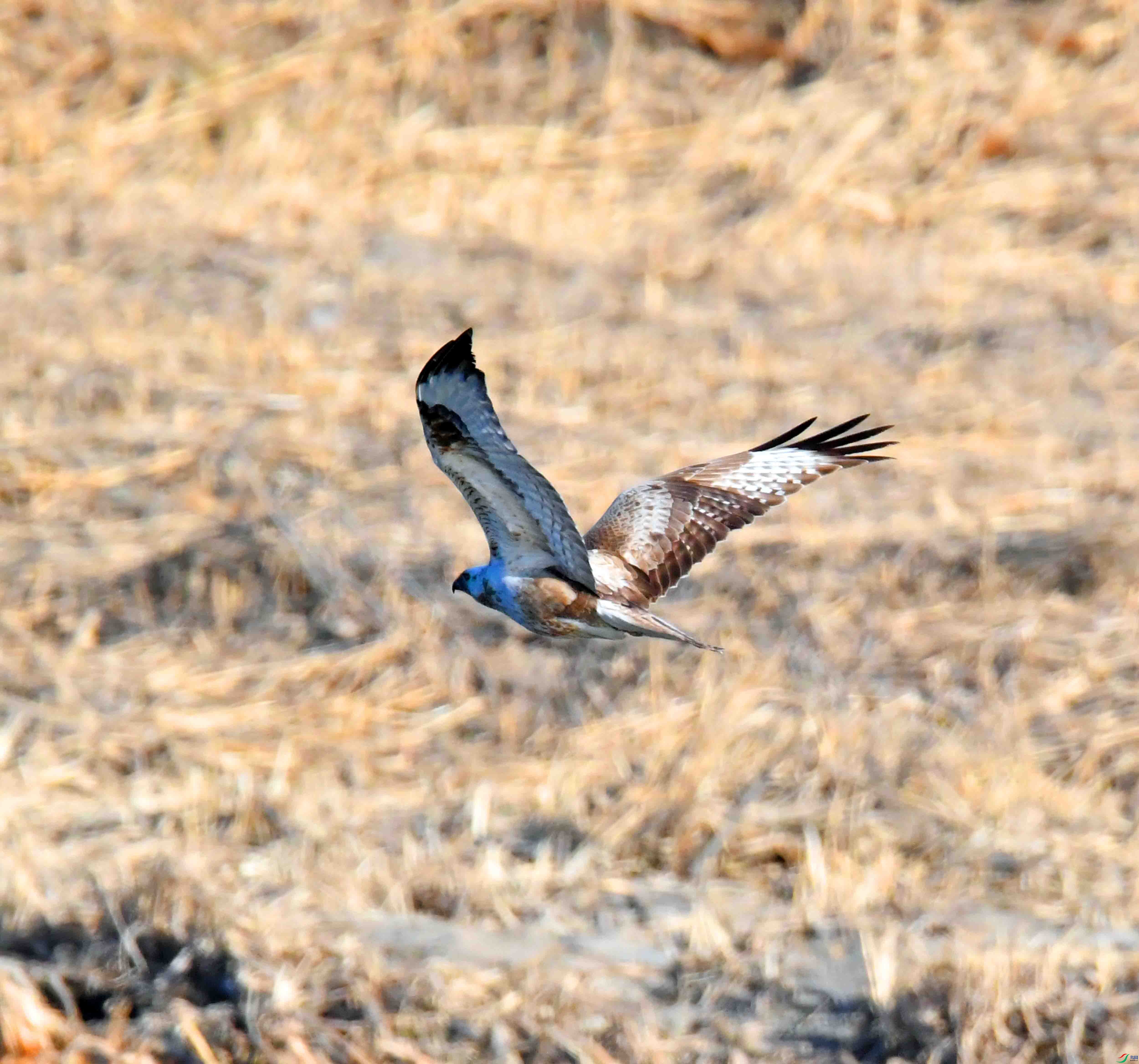 DSC_8894.JPG