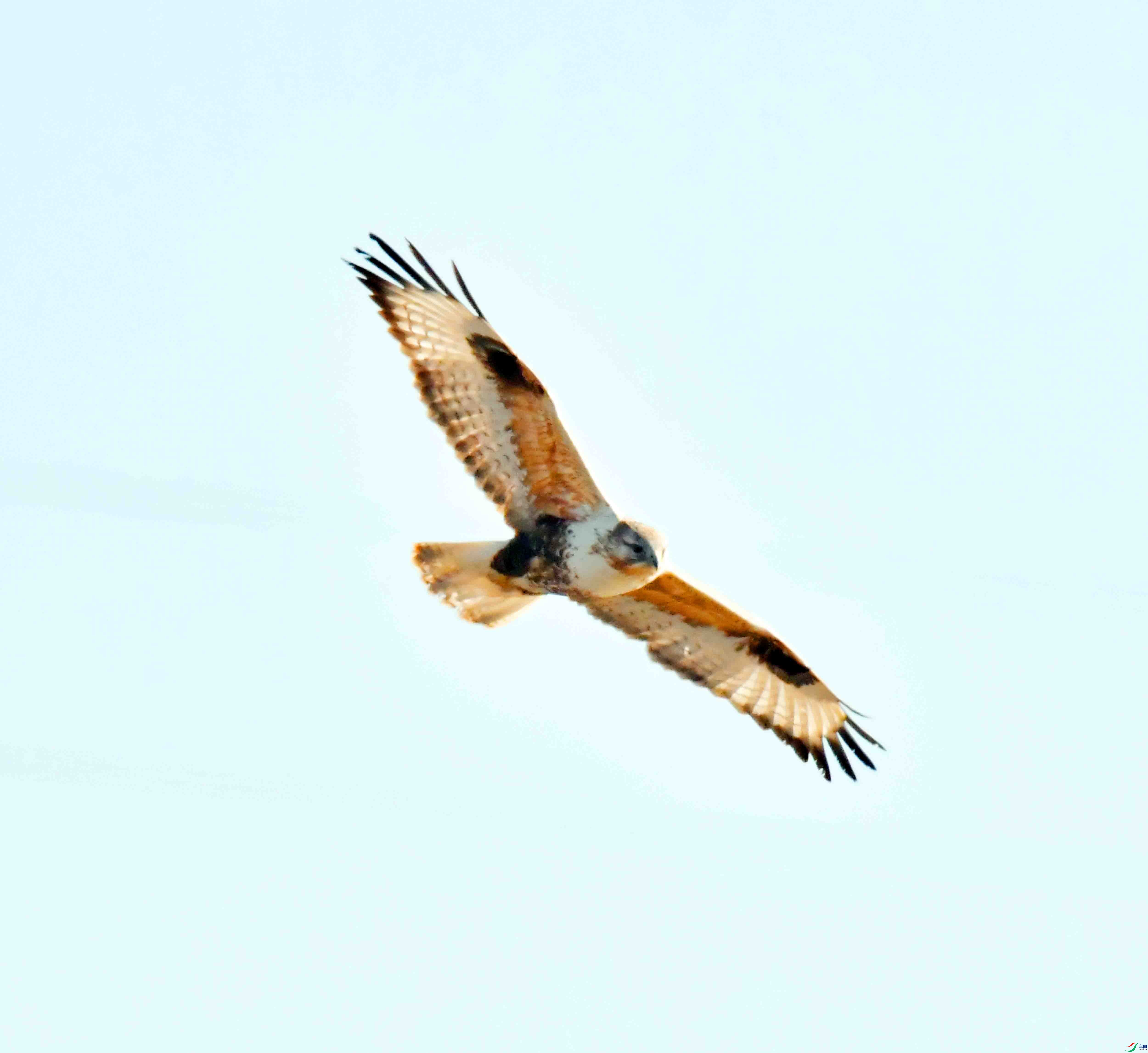 DSC_9007.JPG