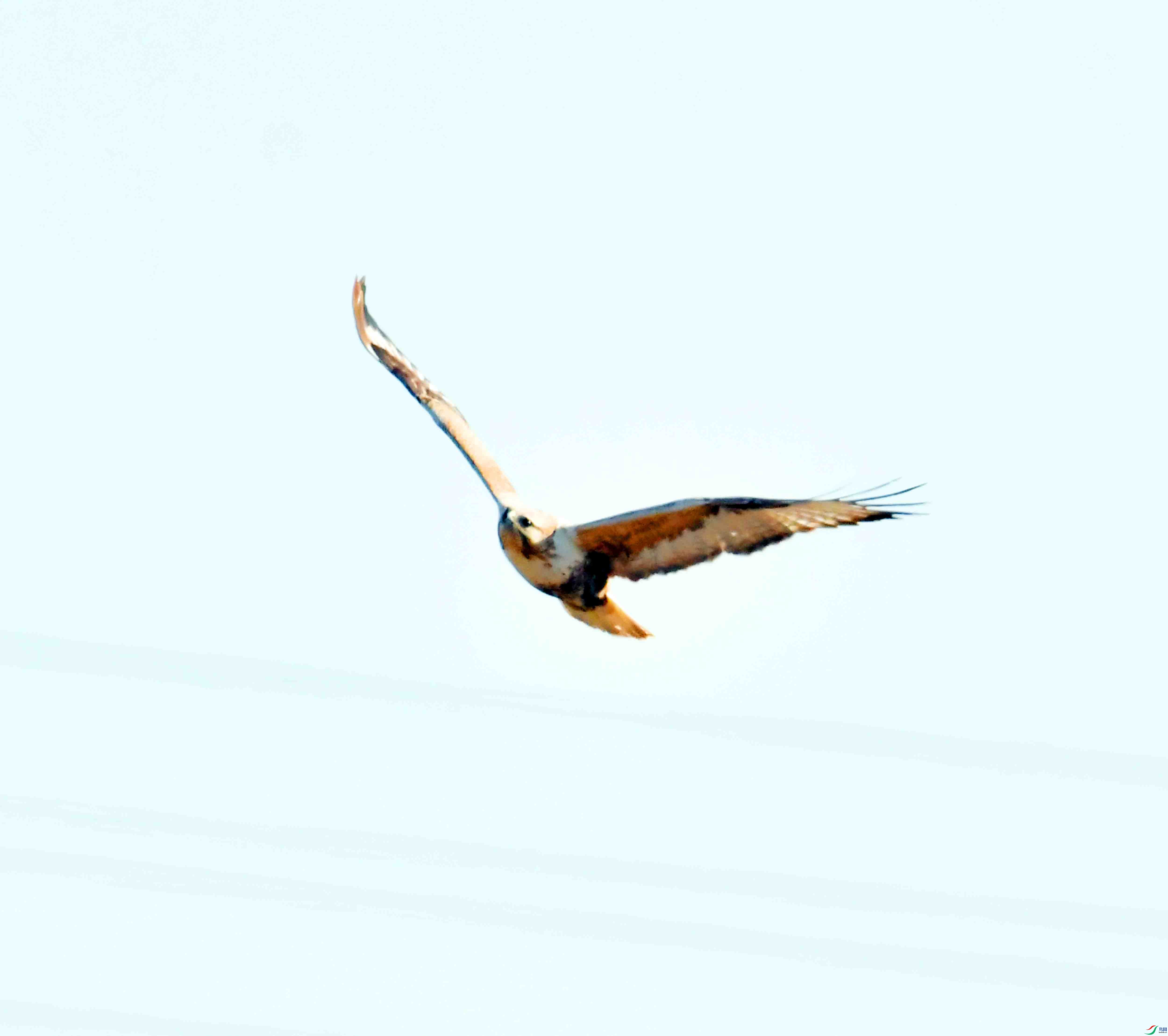 DSC_9004.JPG
