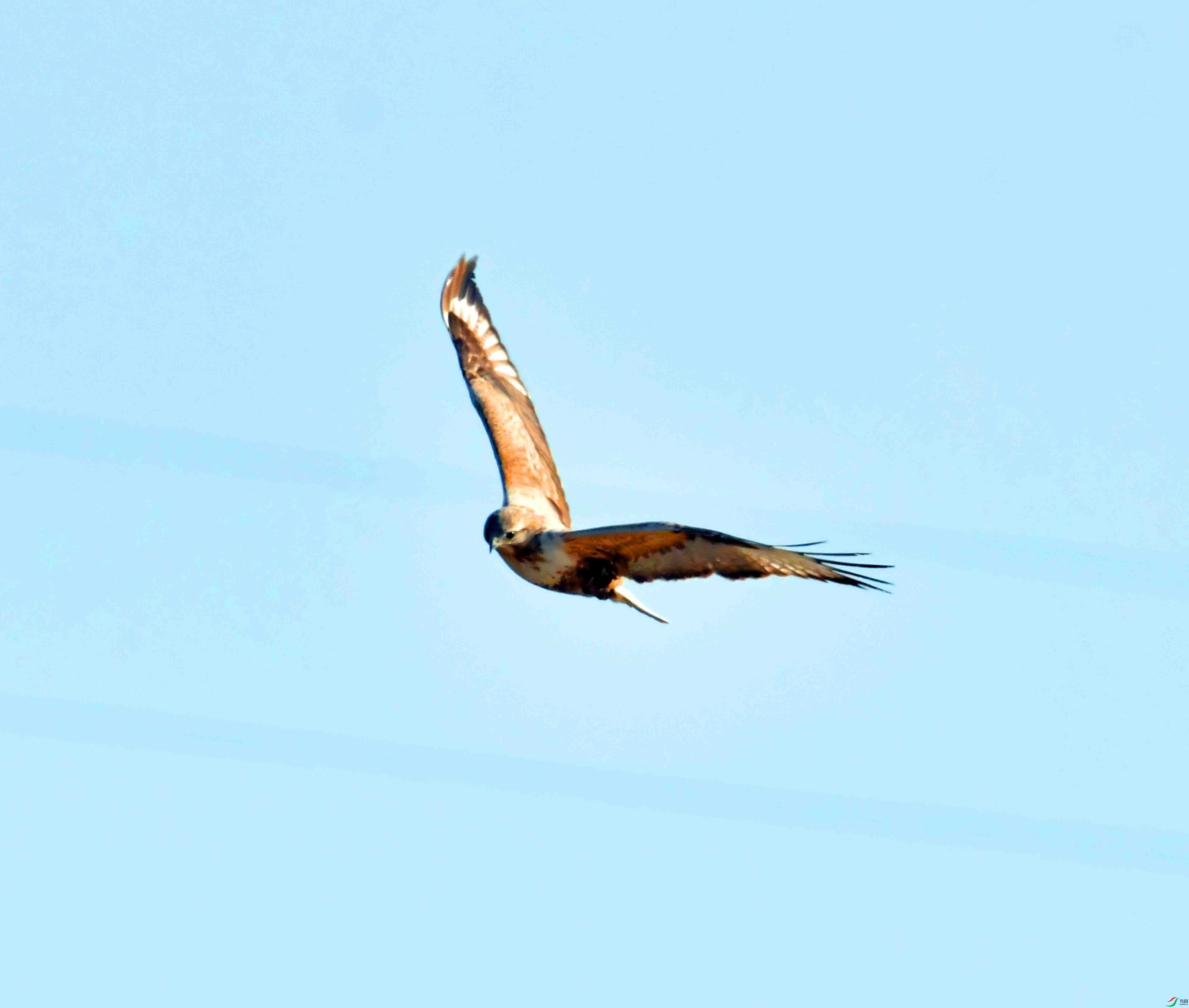 DSC_9024.JPG