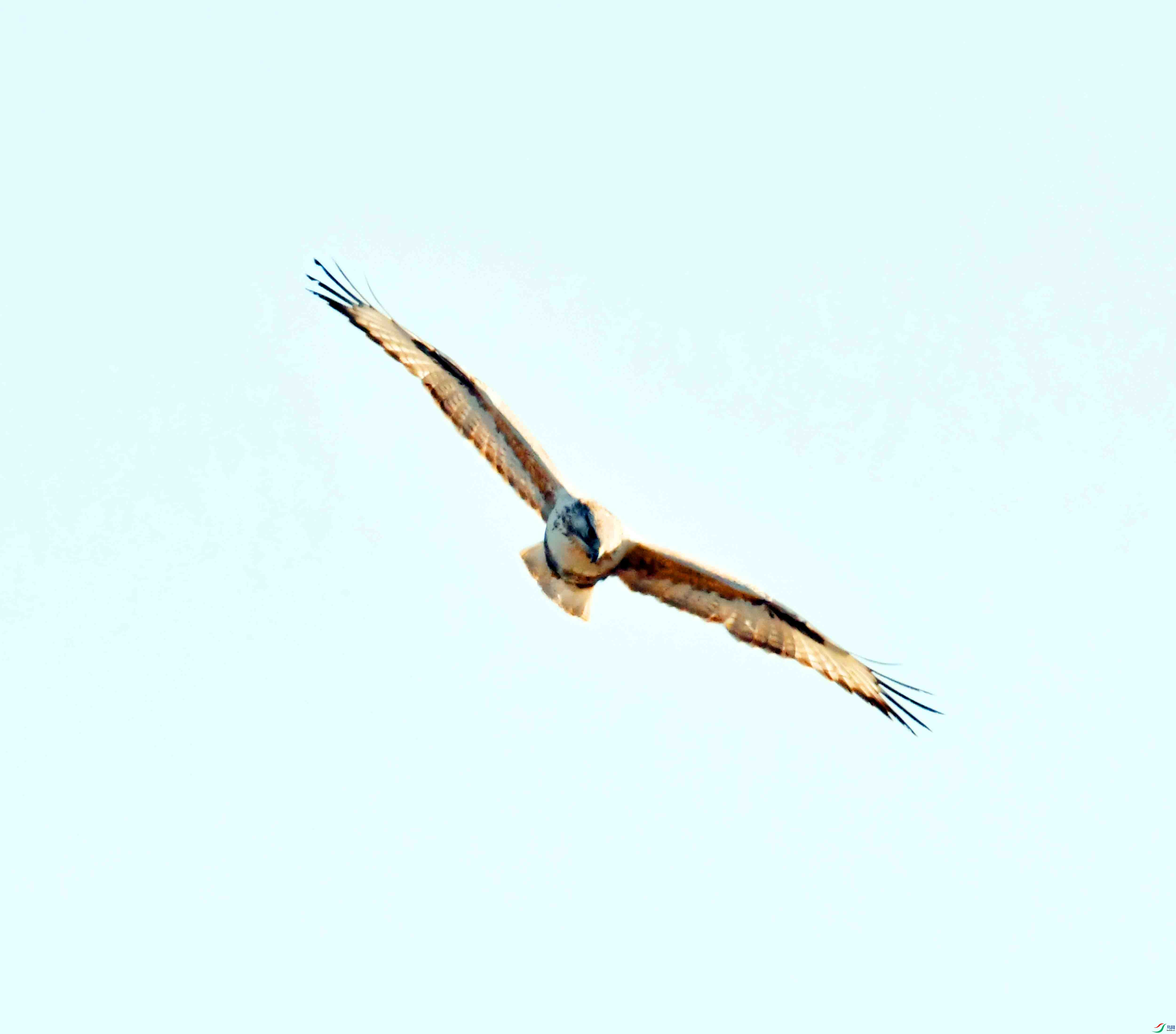 DSC_9028.JPG
