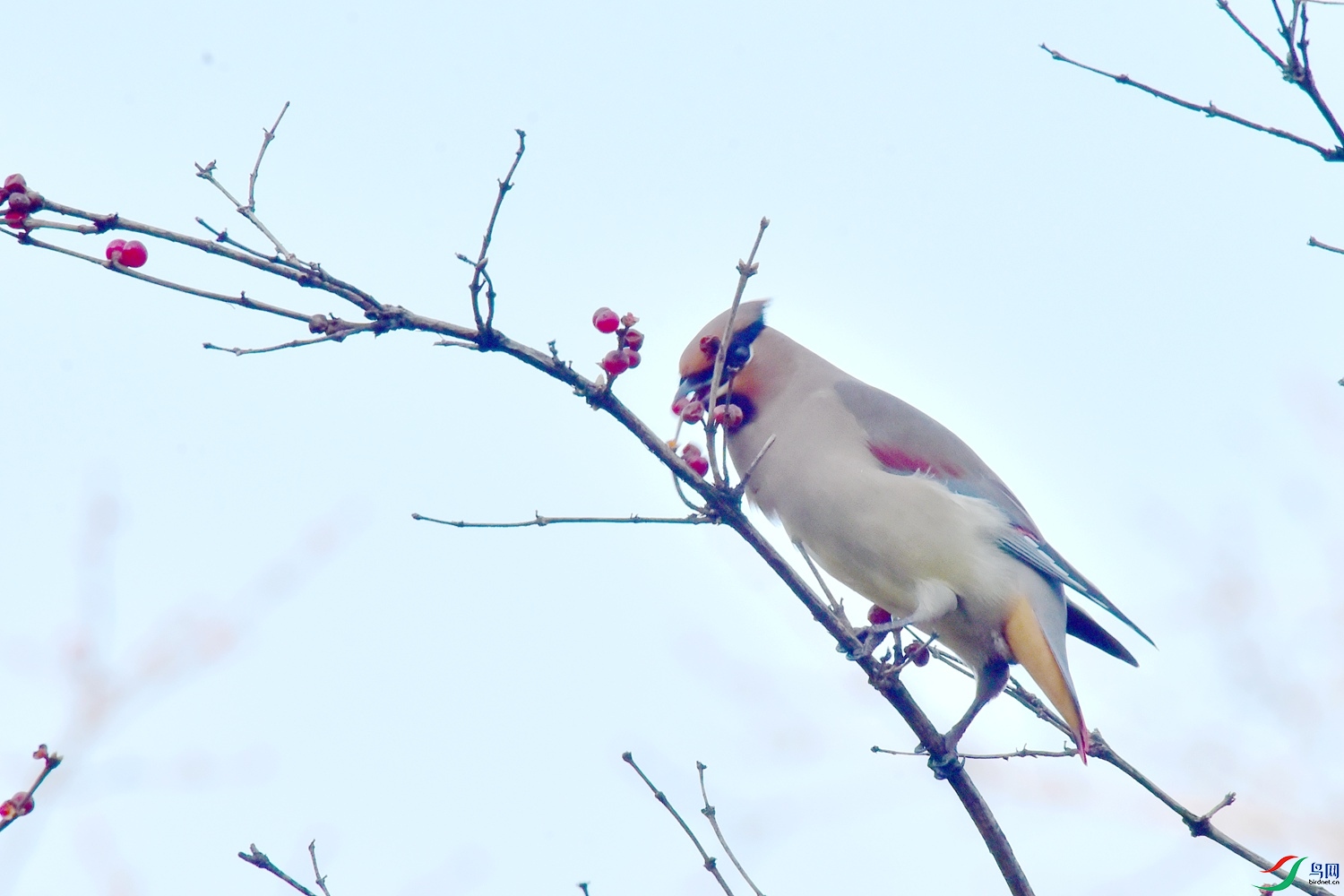 DSC_5843.JPG