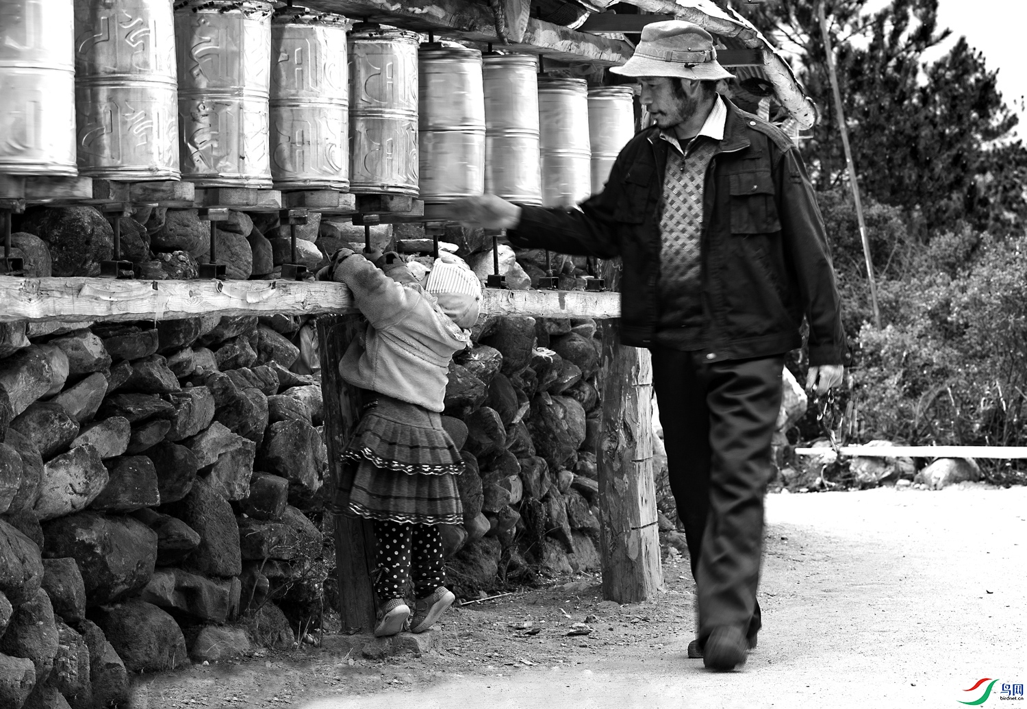 A68O6314 ����.jpg