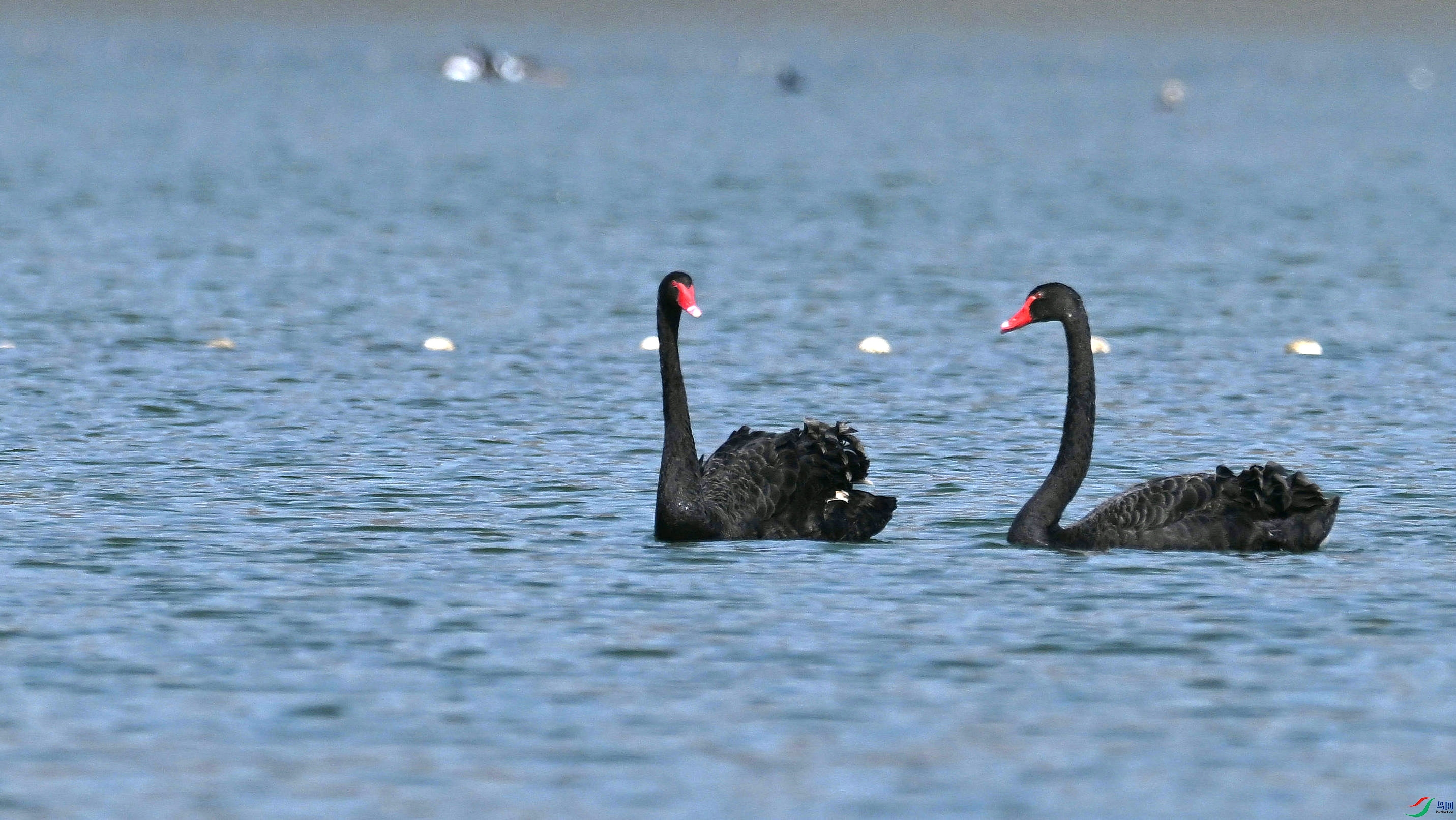 DSC_5057.JPG