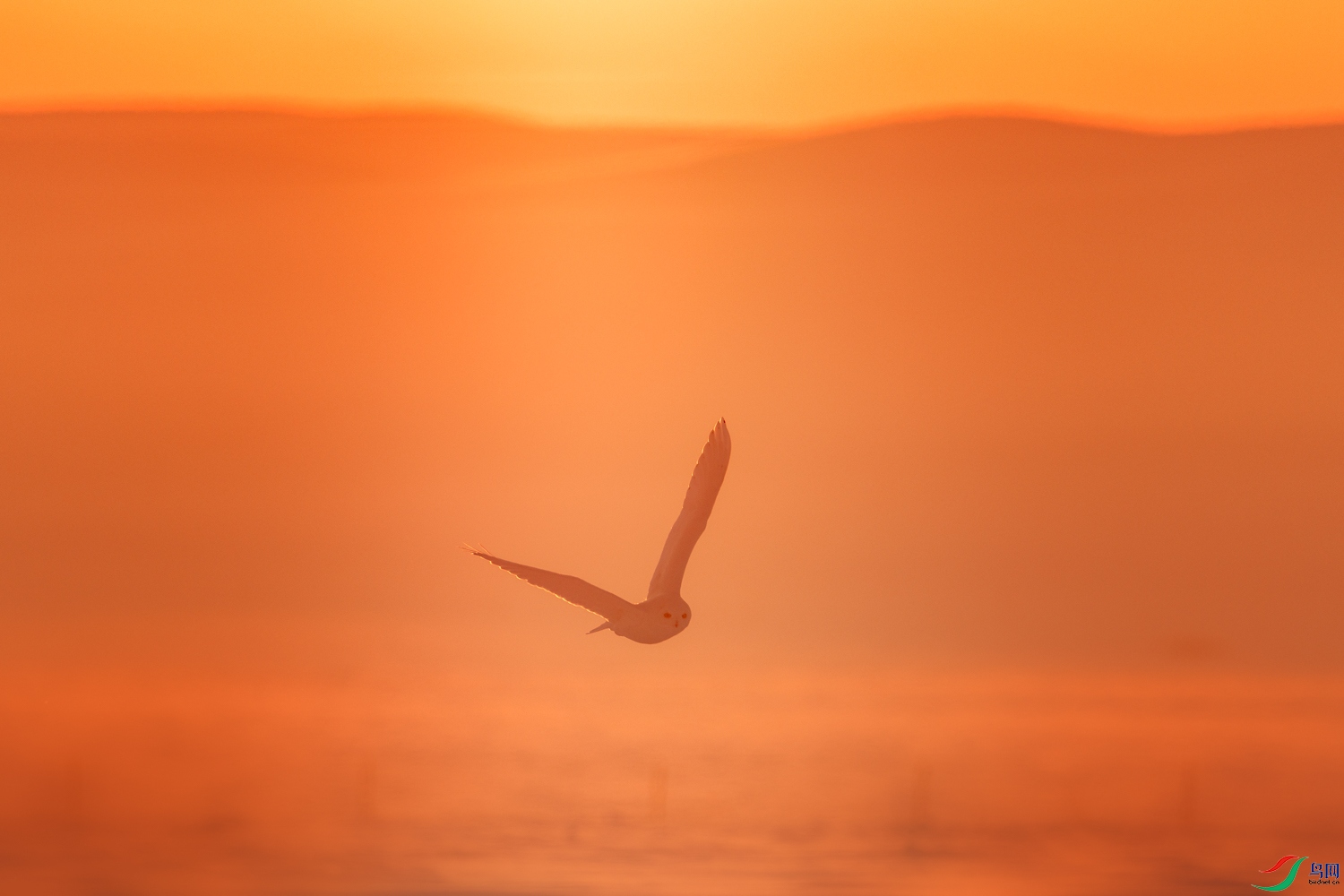 3Z6A0687 ����.jpg