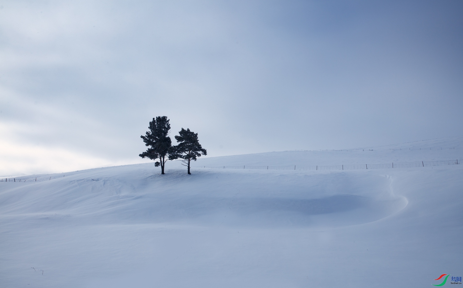 LUIS4294 ����.jpg