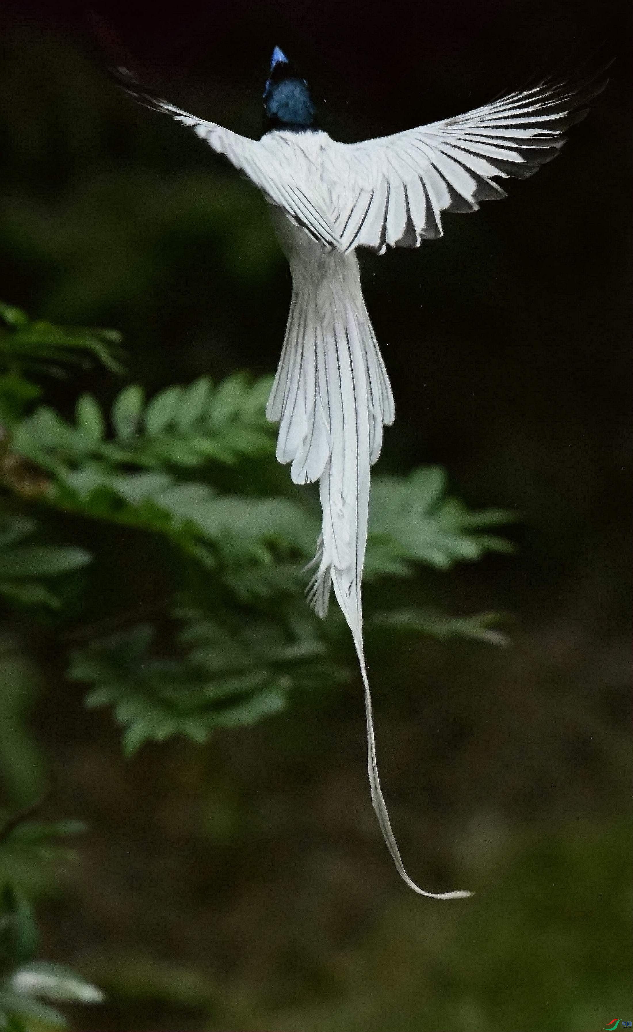 DSC_4938_����.jpg