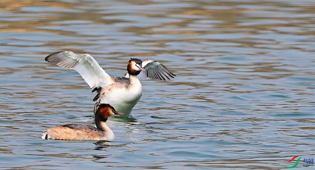 DSC_1364.JPG