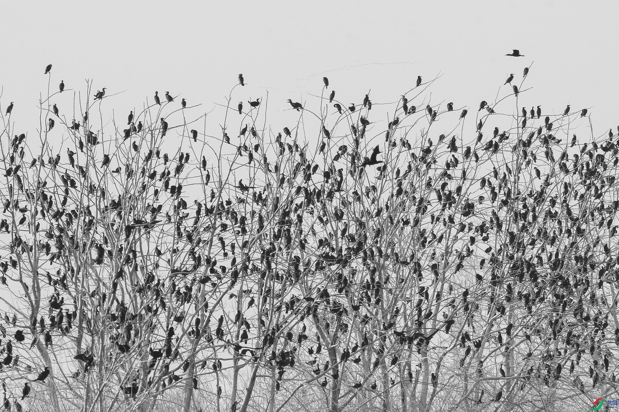 _DSC8110-2 ����_2.jpg