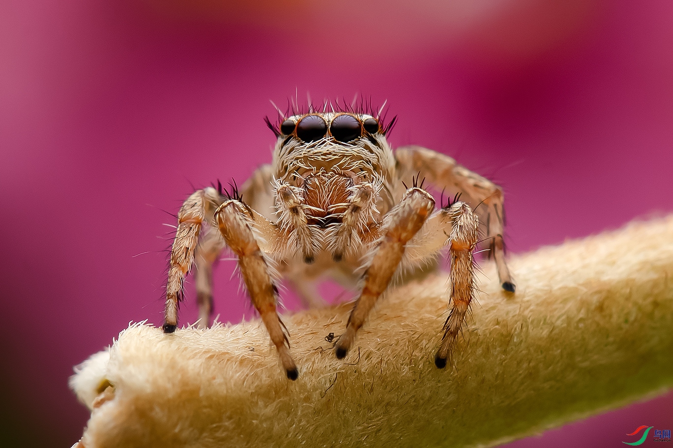 DSC_7163--.jpg