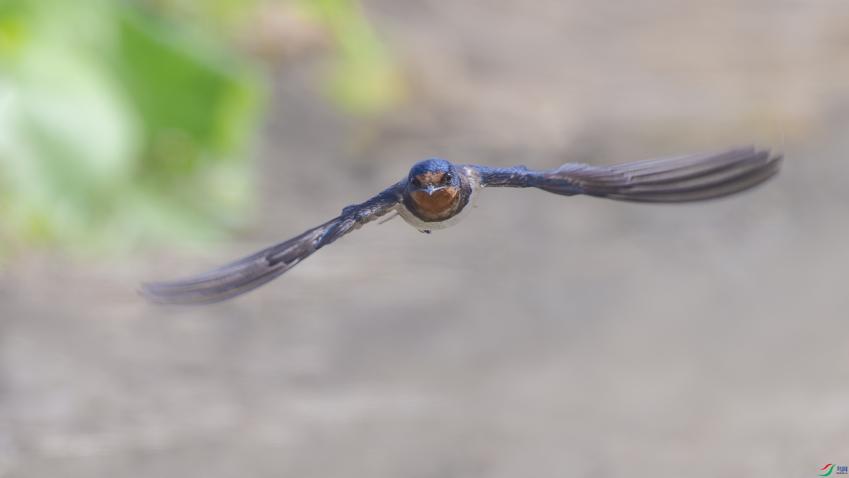 DSC_6958_DxO.jpg