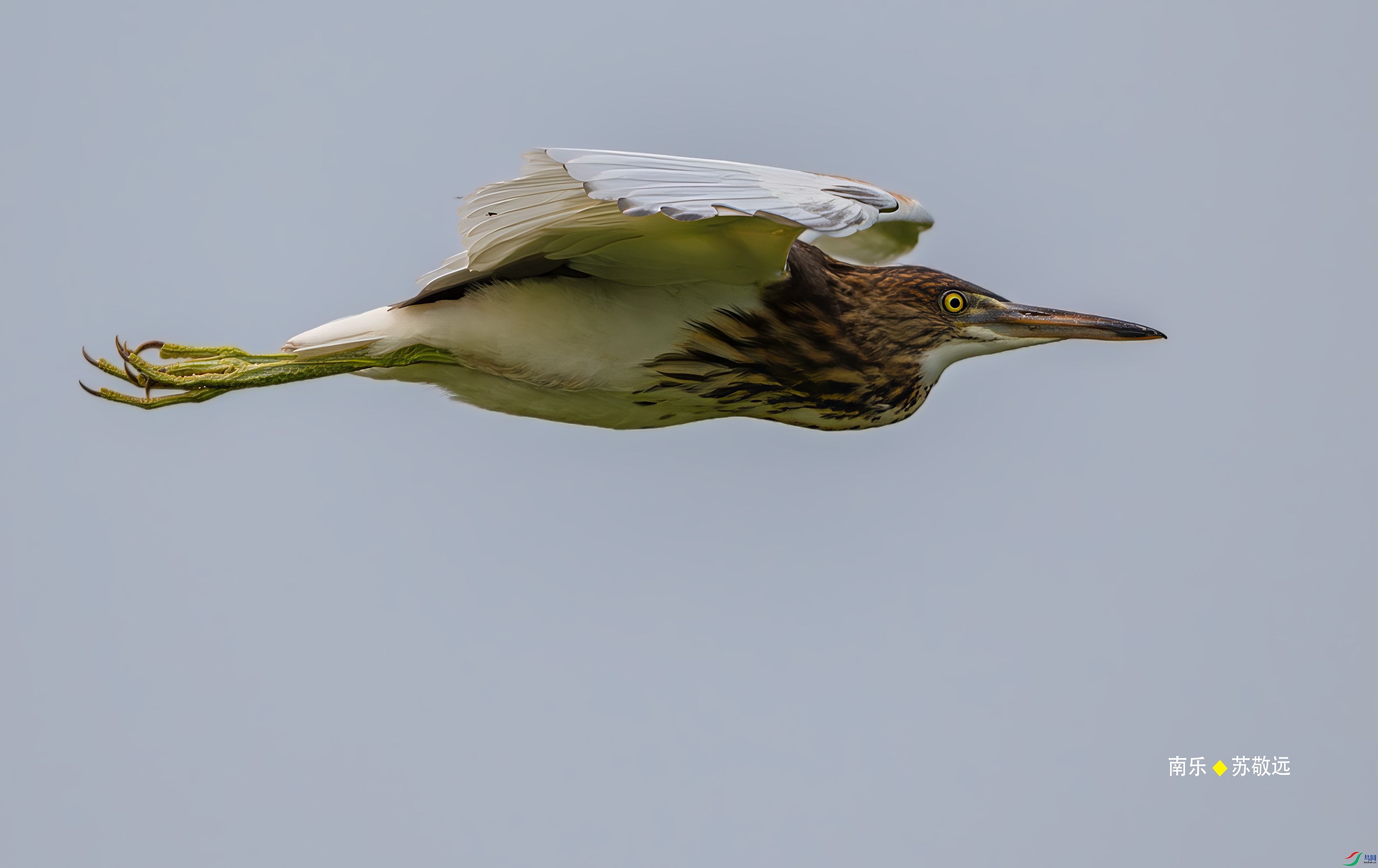 _DSC3194-DxO_С.jpg