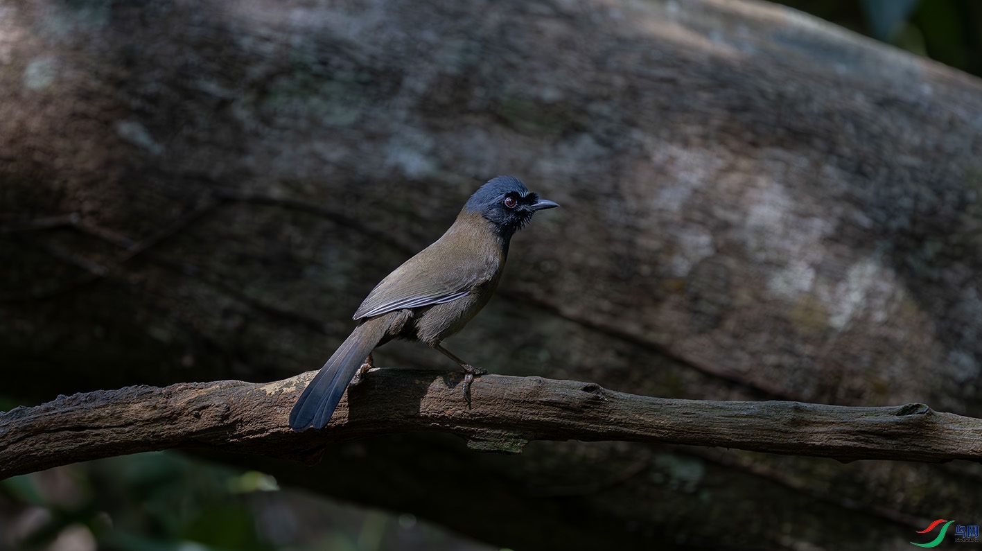 _DSC7760-����ǿ-NR ����.jpg