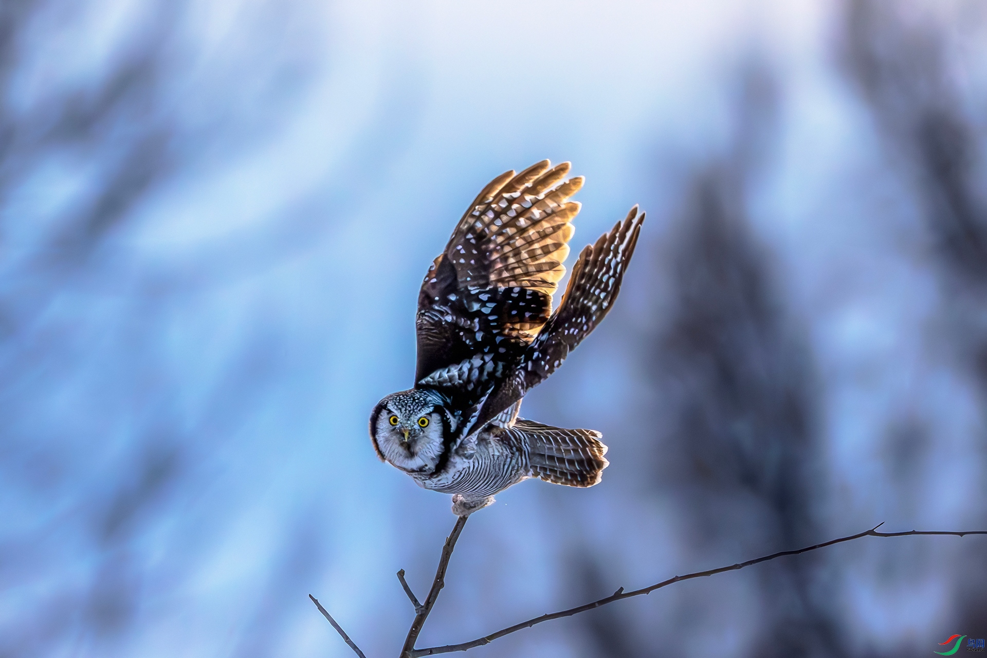 DSC04908-����ǿ-NR-����.jpg