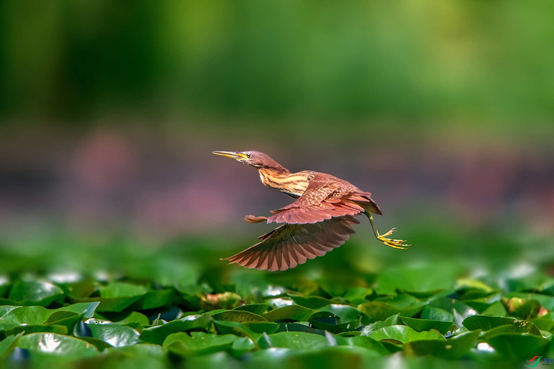 _AUU7896��έ�Z(24.8.5).jpg