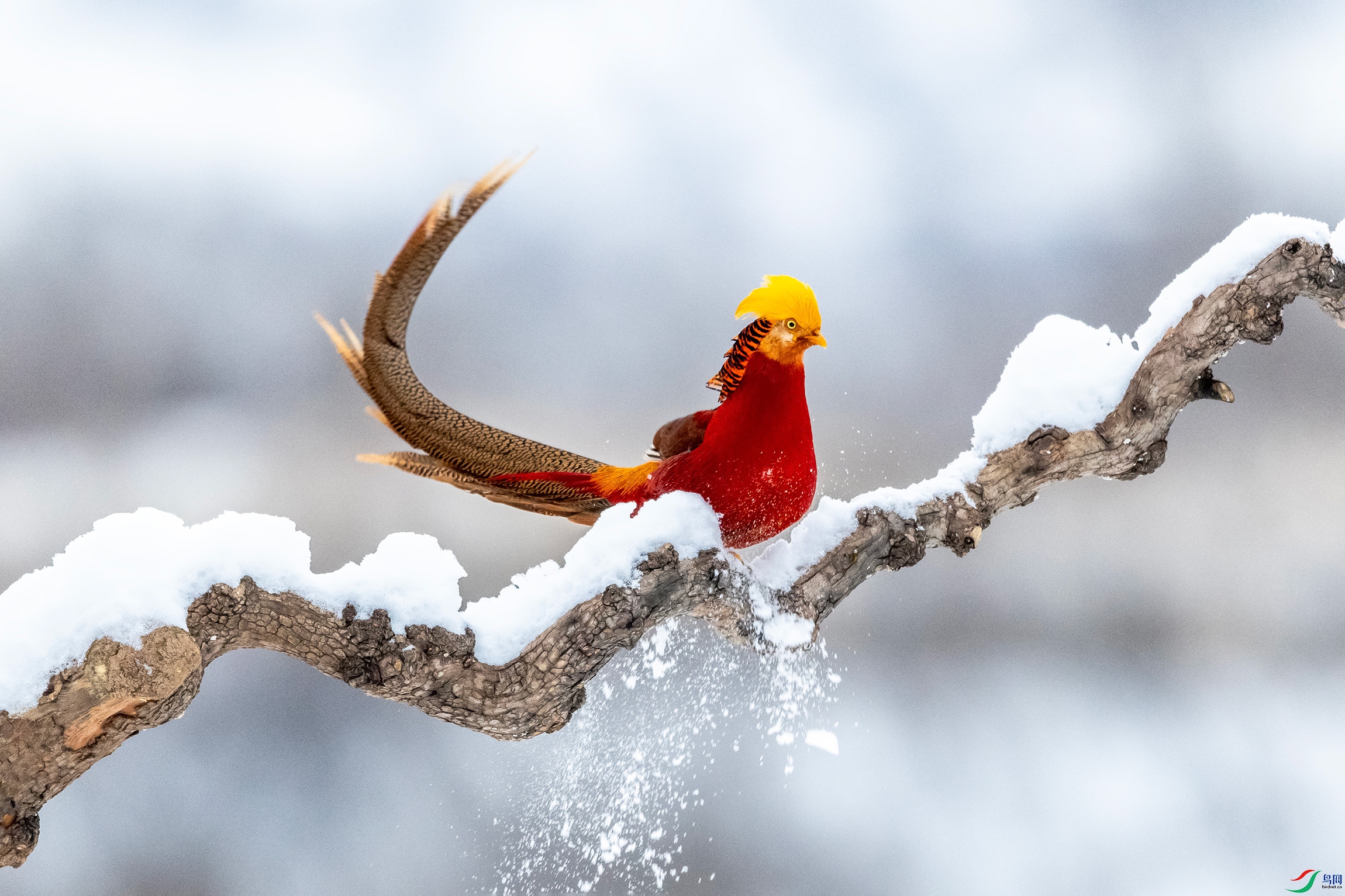 IMG_6418 ����.jpg