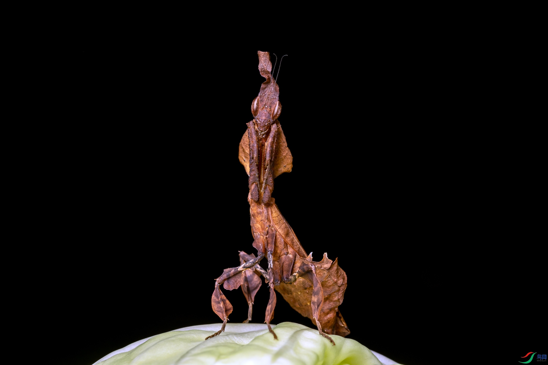 AP4A8044.jpg