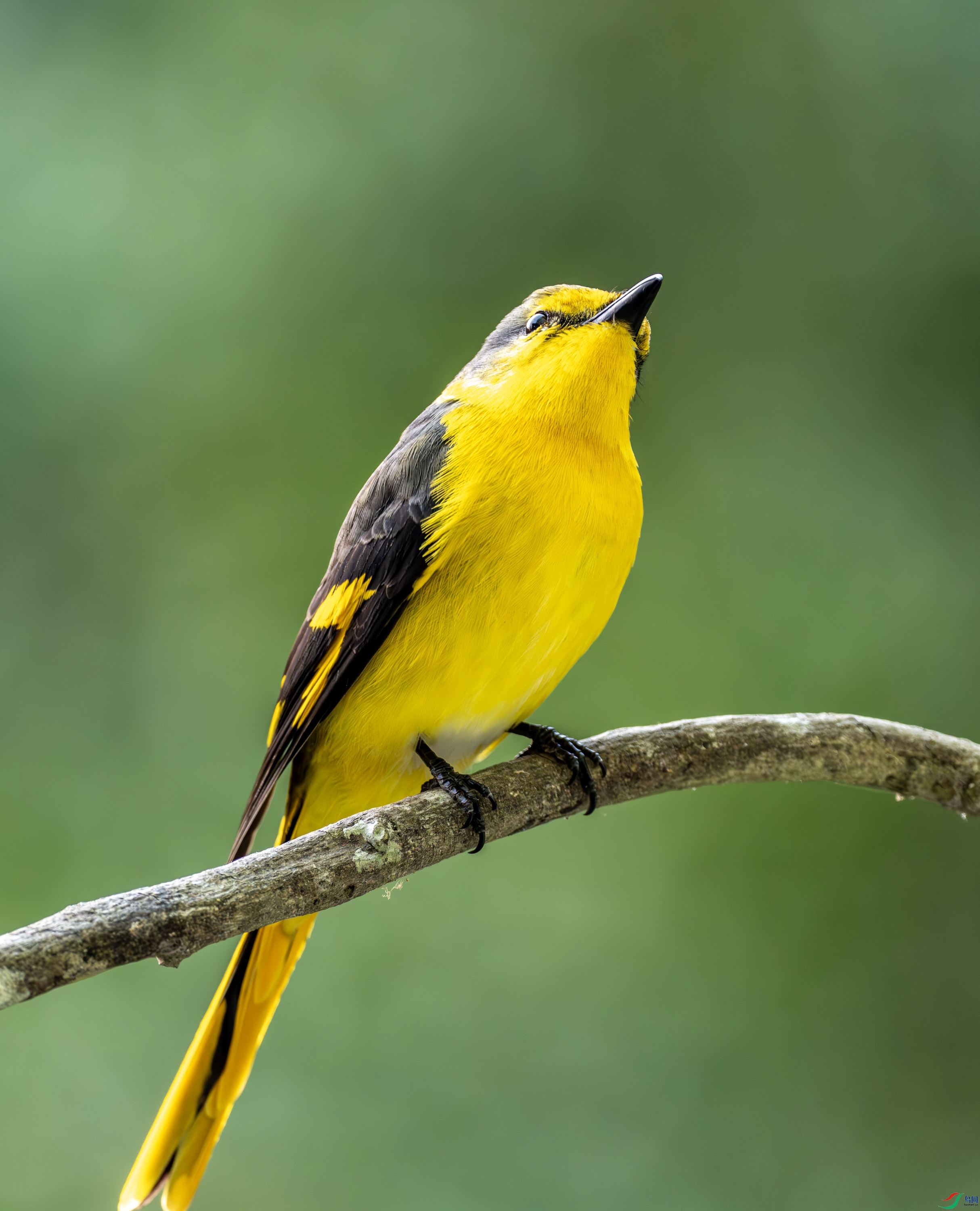 ����ɽ����-01 (2 - 14).jpg