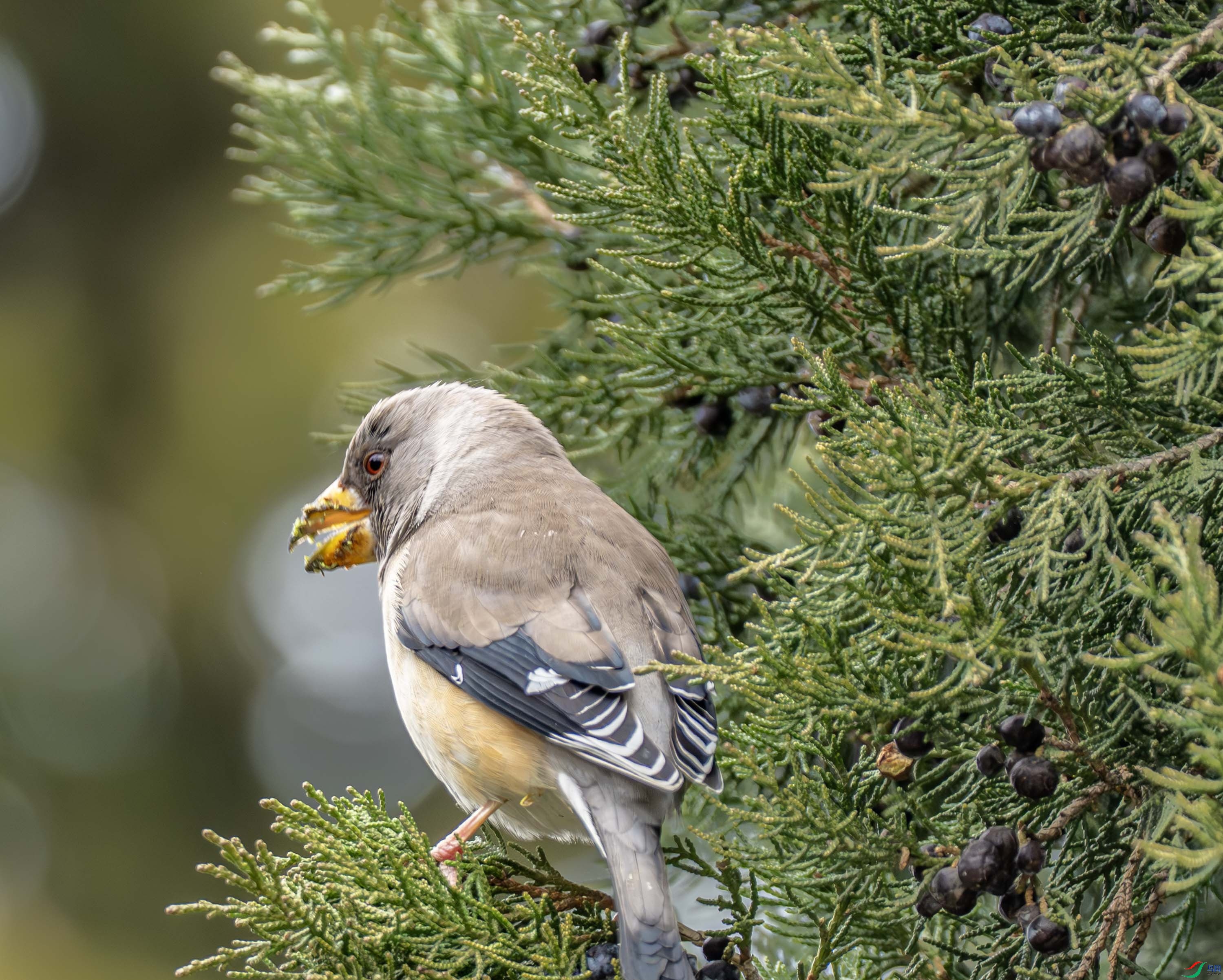 ��β����ȸ-01 (2 - 8).jpg