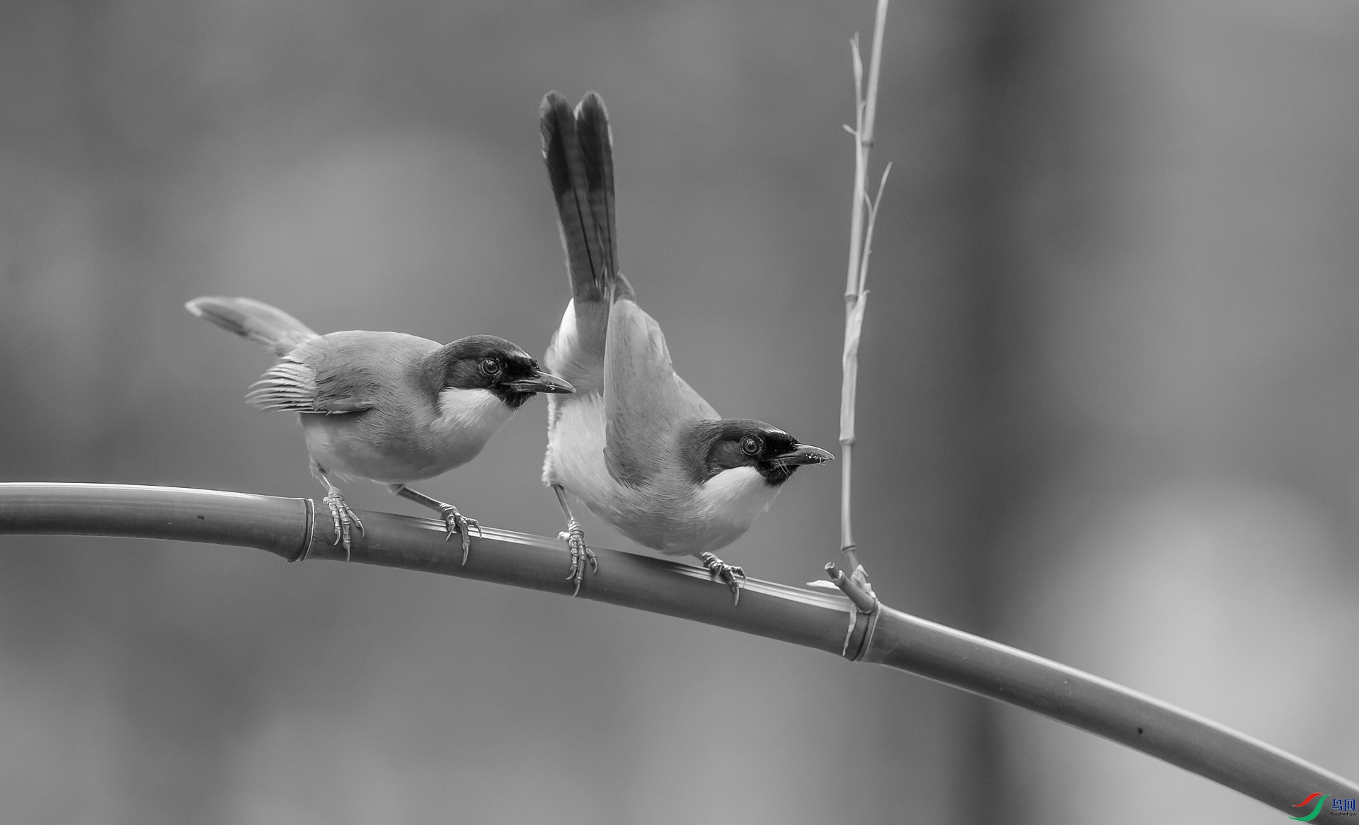 �������� - ����1.jpg