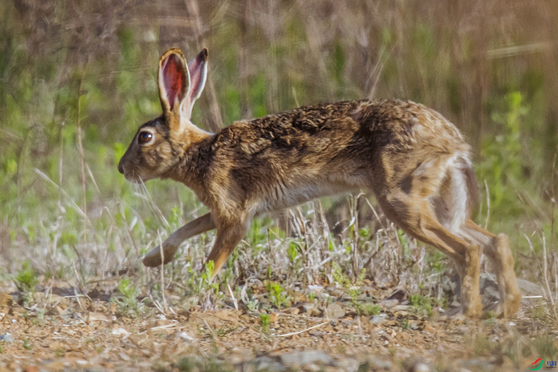 _90I7645 ����.jpg