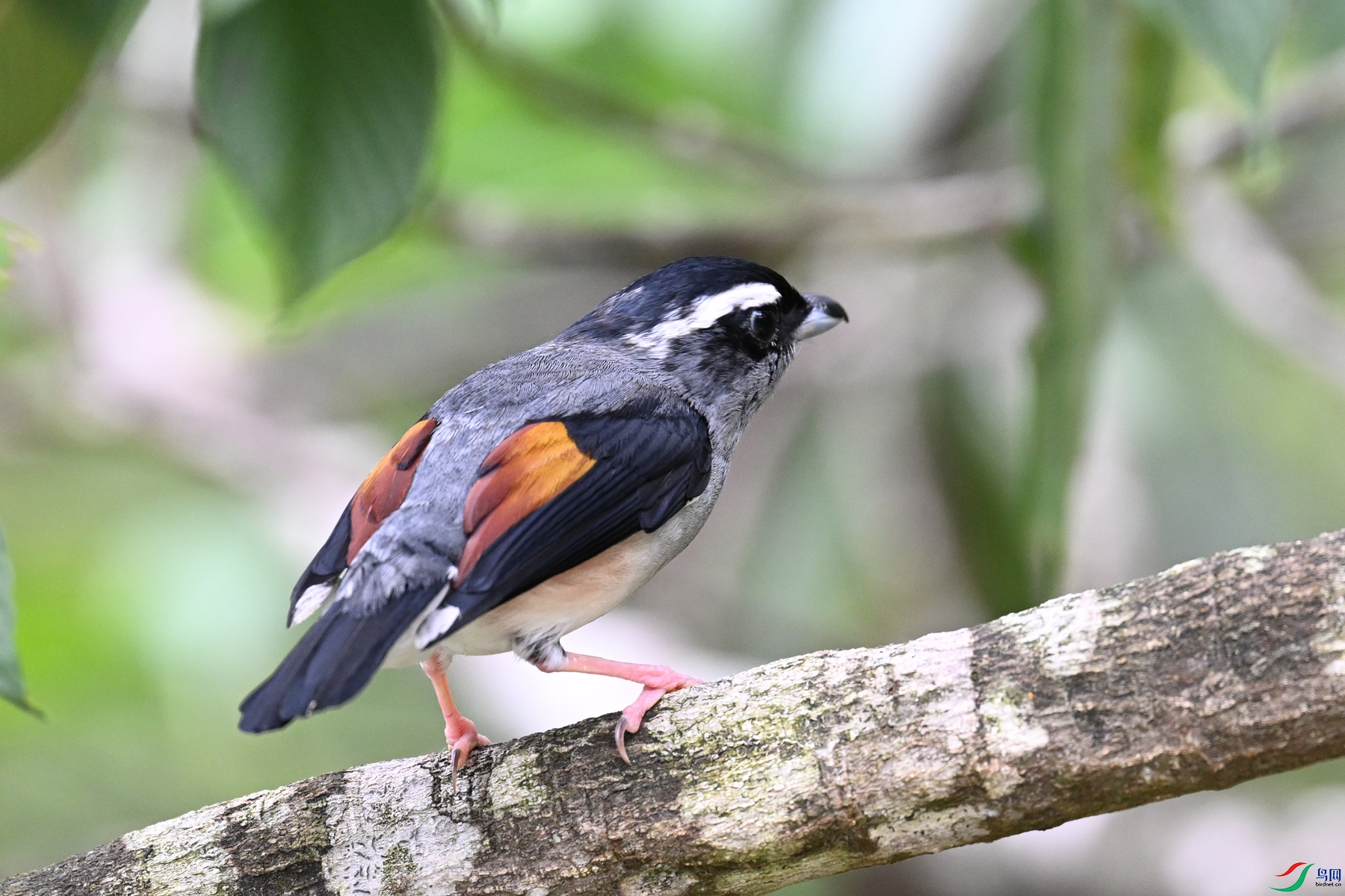 DSC_1253.JPG
