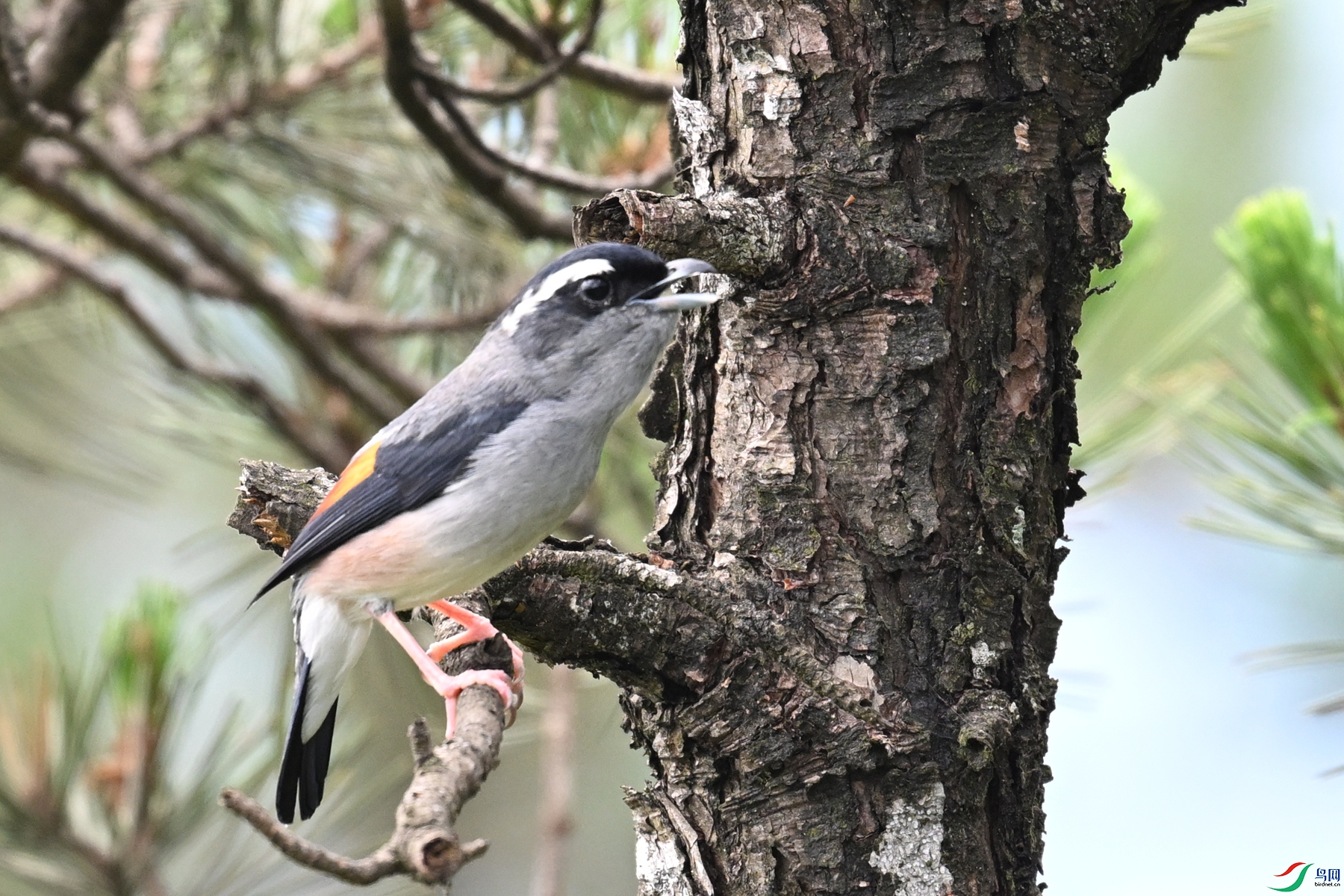 DSC_1214.JPG