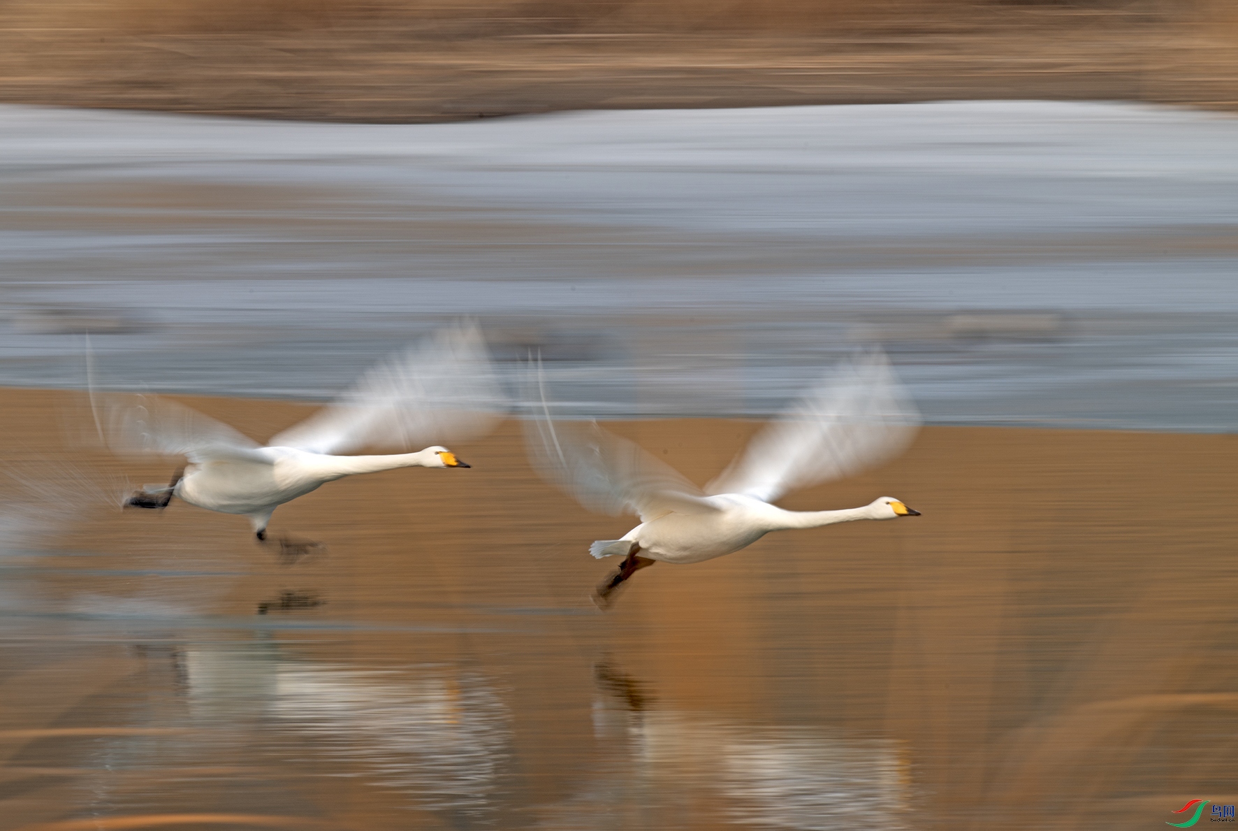 _DSC6076.jpg