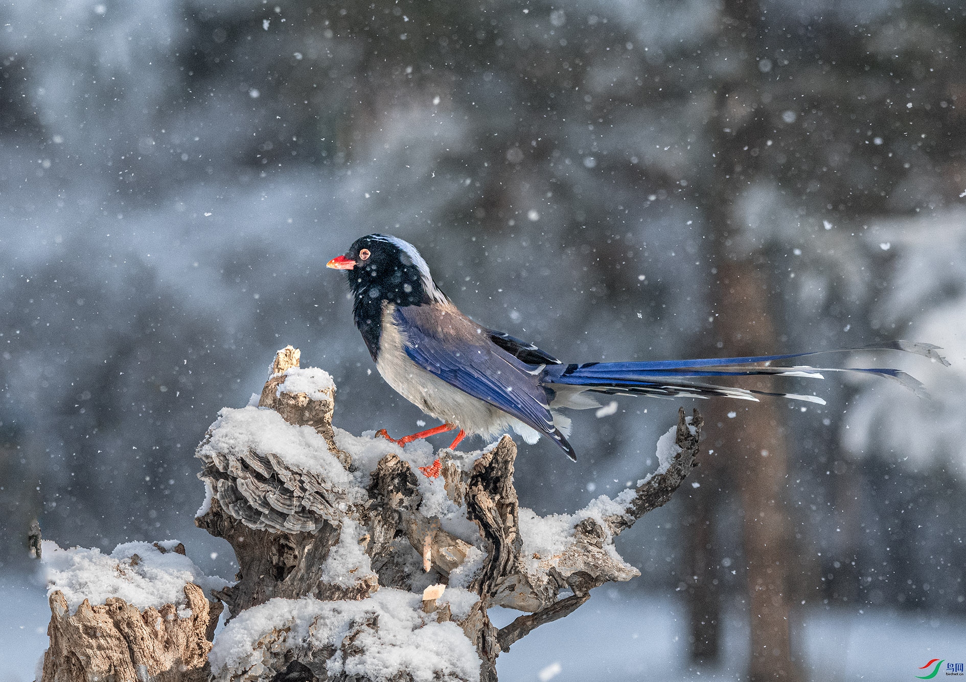 DSC_7763_��ͼ�� ����.jpg