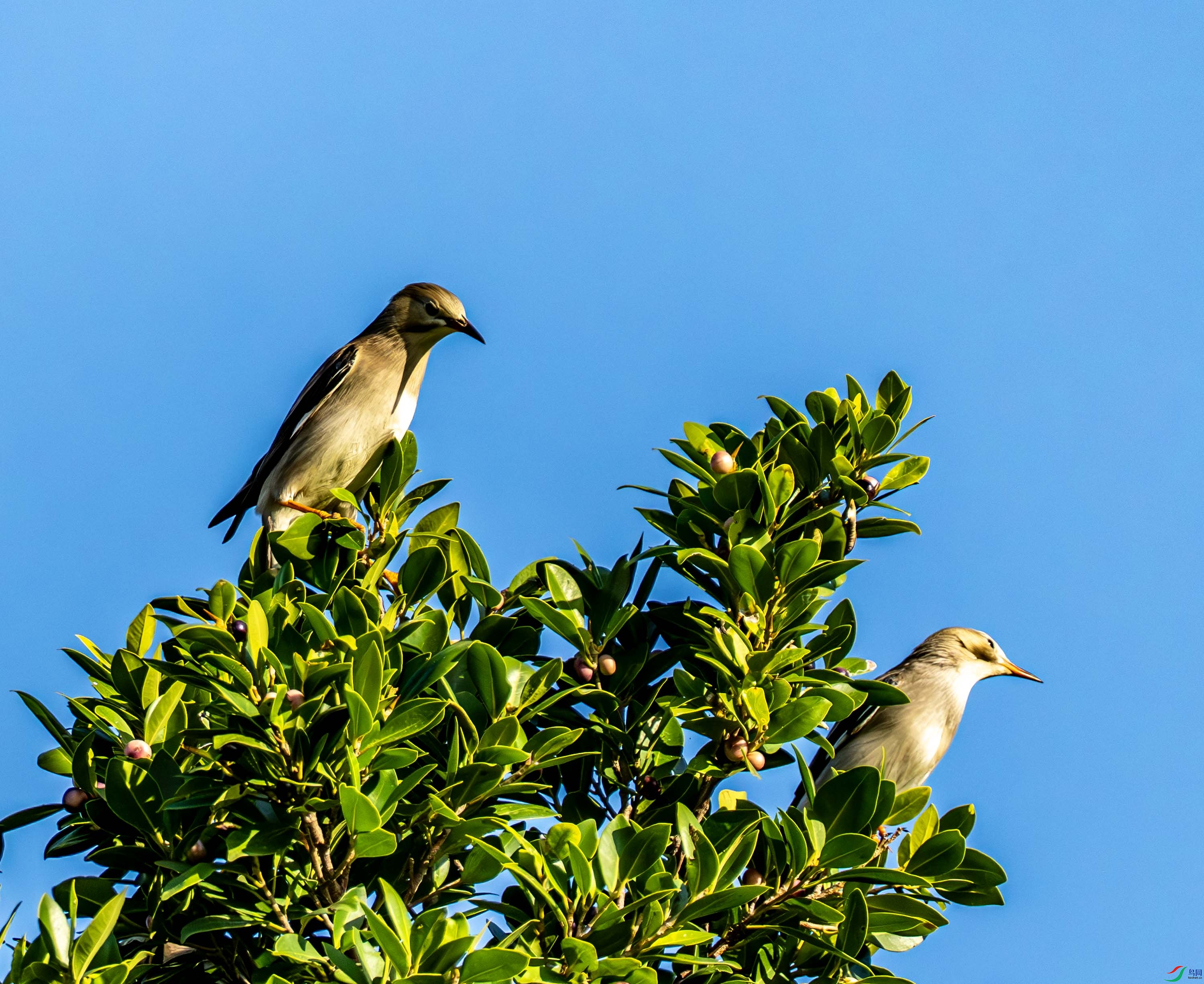 �ұ����-01-1 (4).jpg