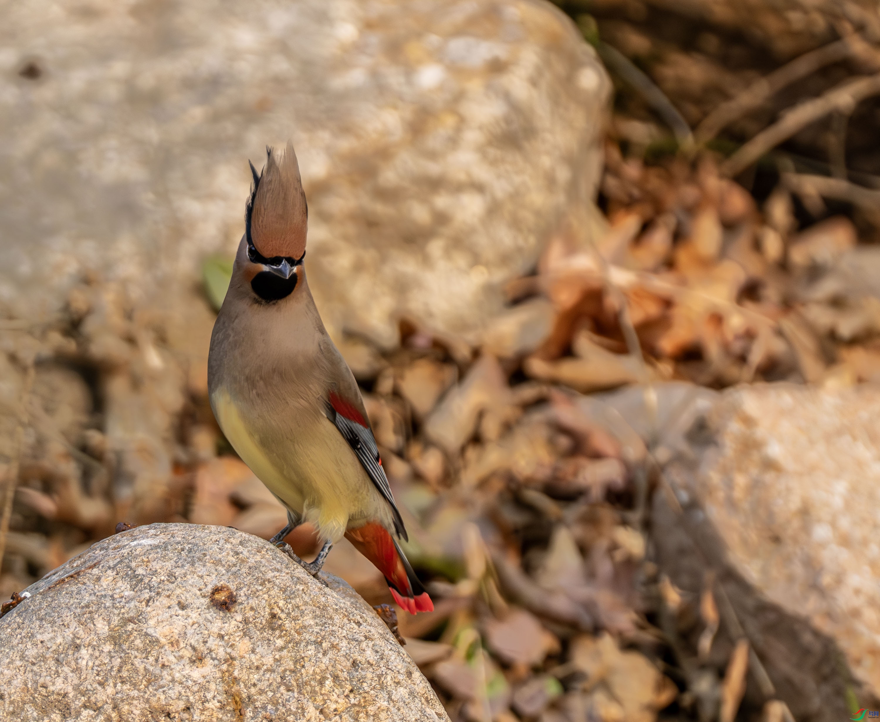 С̫ƽ��-01 (2 - 22).jpg