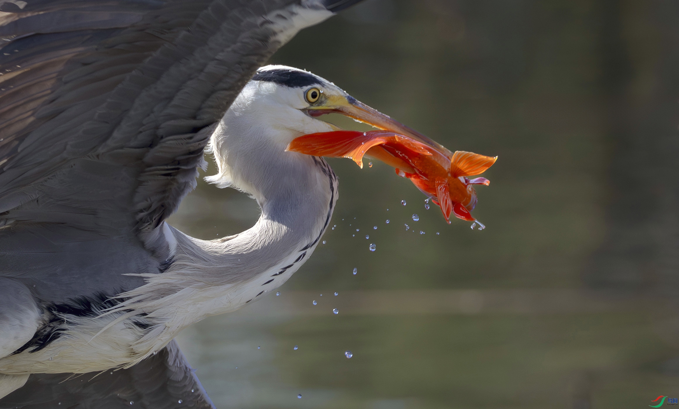 5N2A2284-3 ���� 2.jpg