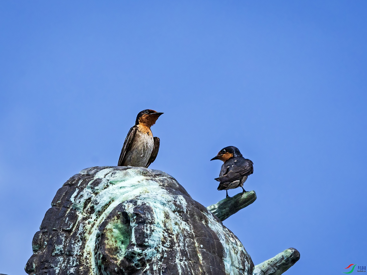 _M2A5939����-���к� ����.jpg