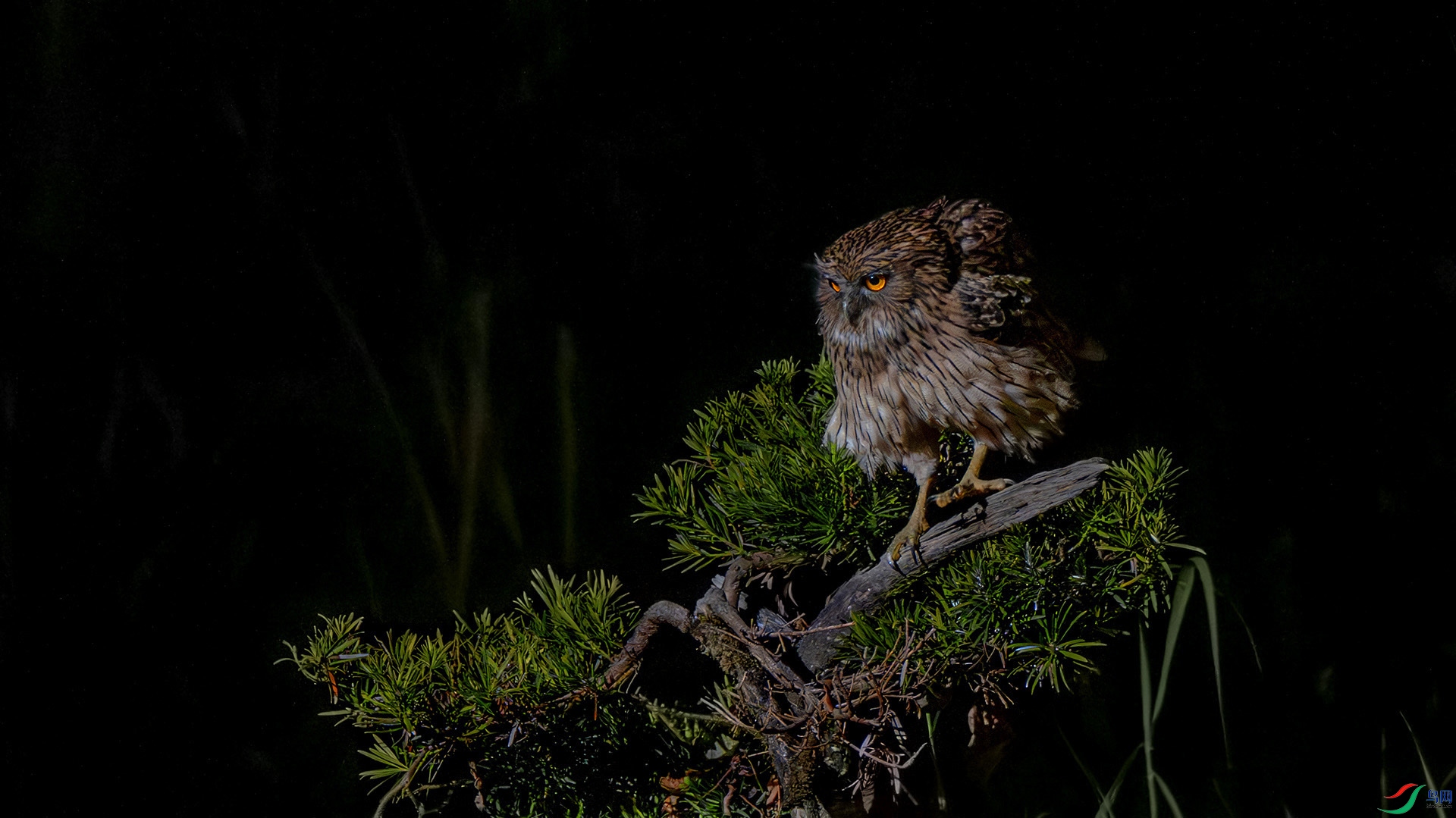 DSC_6996 ����.jpg