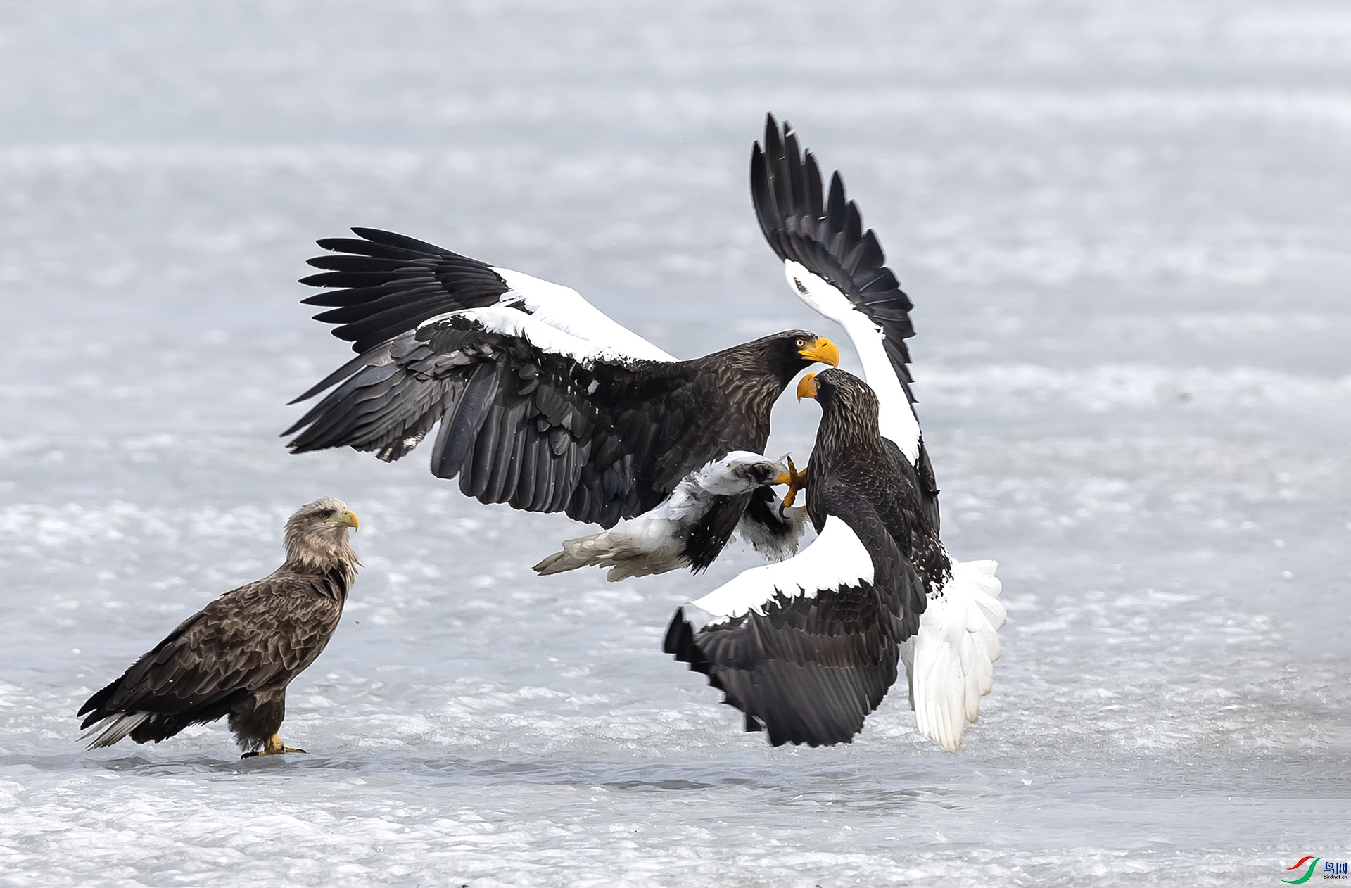 019A4770 ����2.jpg