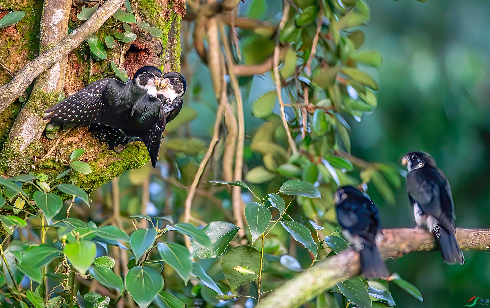 _S7I6076------33  .jpg