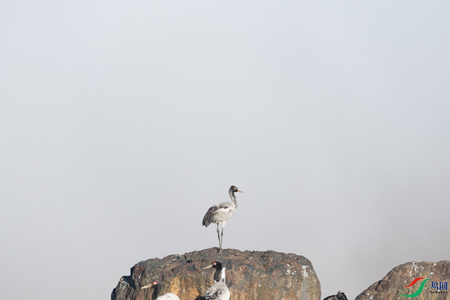 0B0A6930.jpg