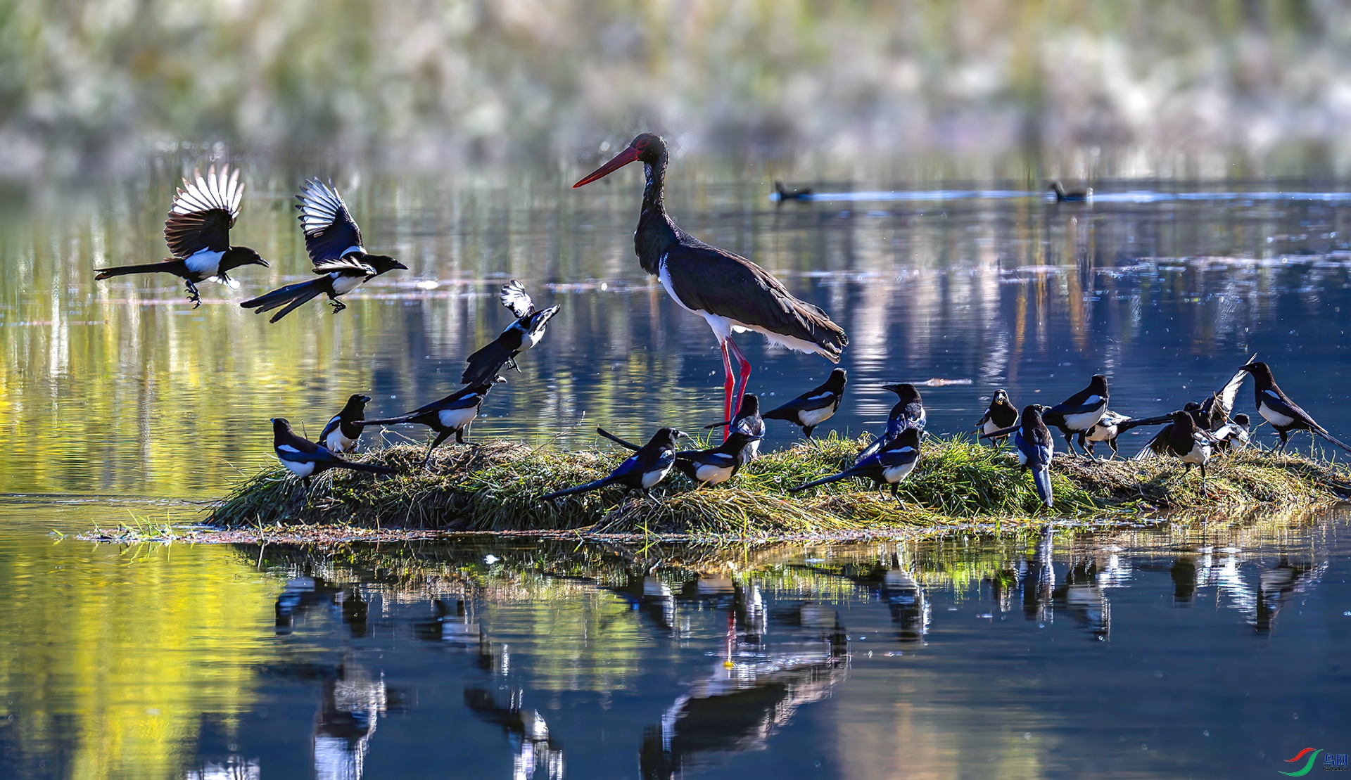 _07A5578----33.  .jpg